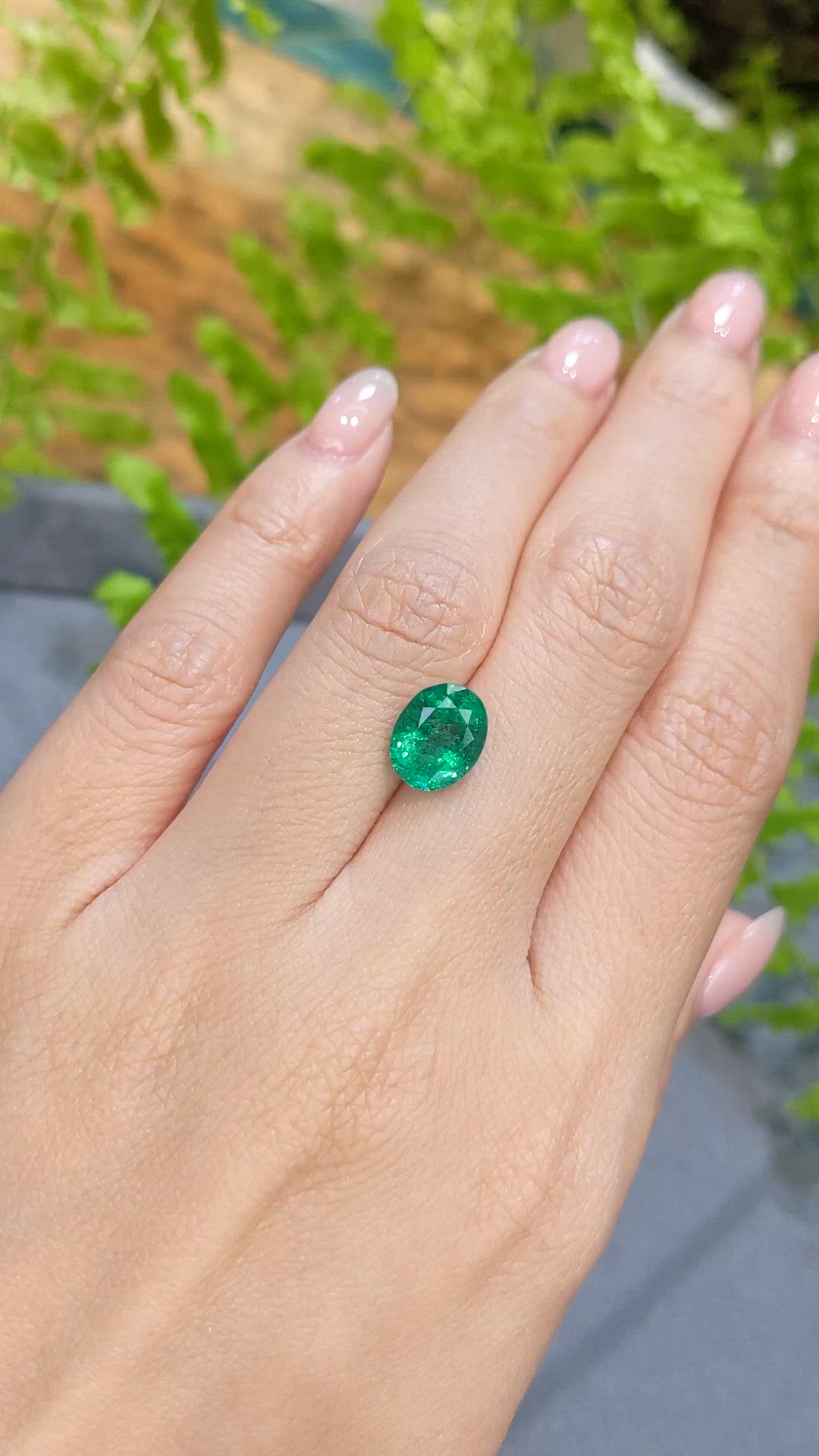 2.37 Ct. Emerald from Zambia Size Video