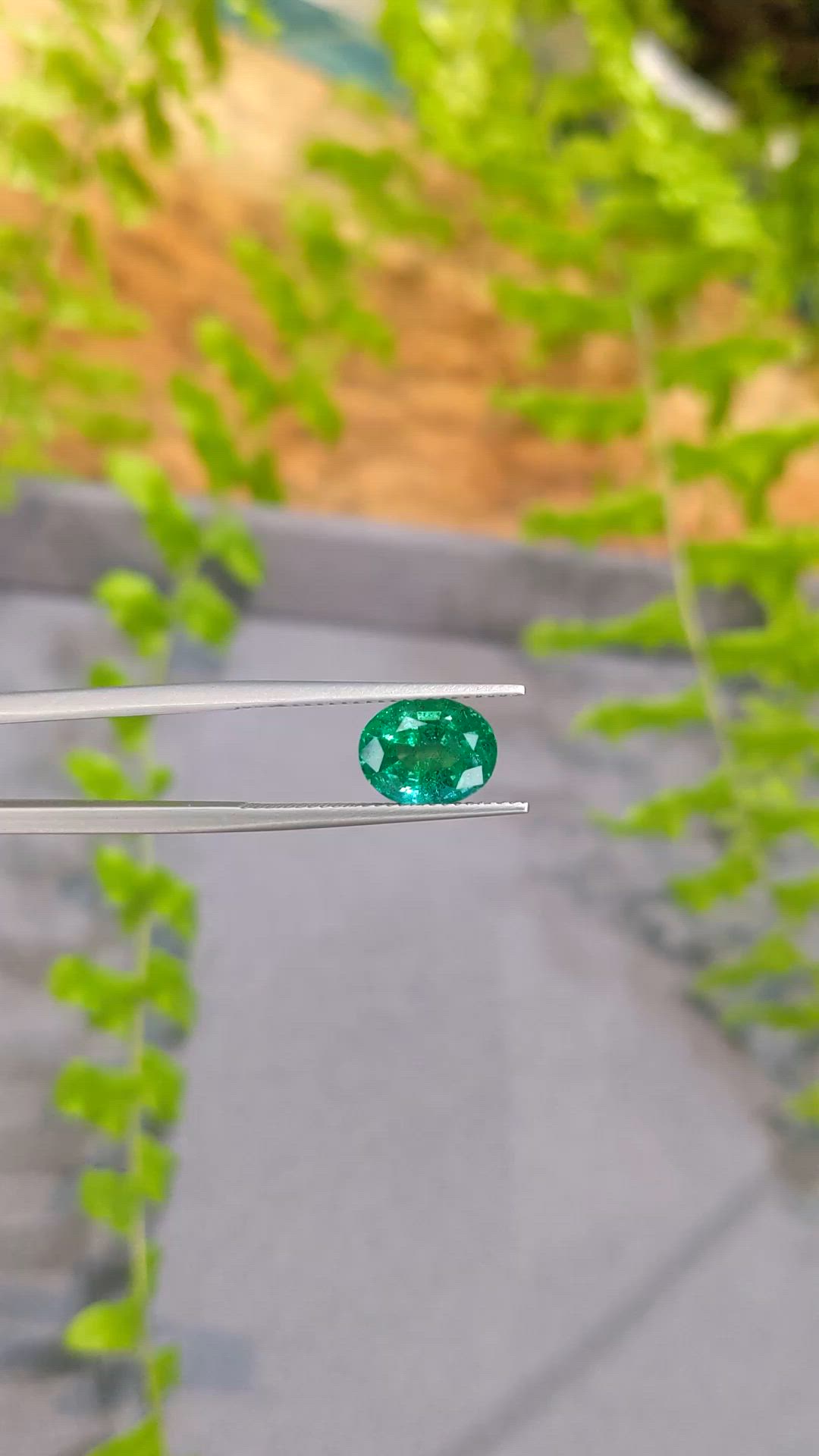 2.37 Ct. Emerald from Zambia Size Video
