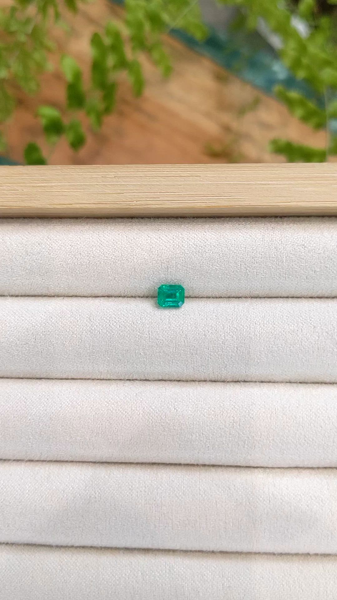 0.60 Ct. Emerald from Colombia Size Video