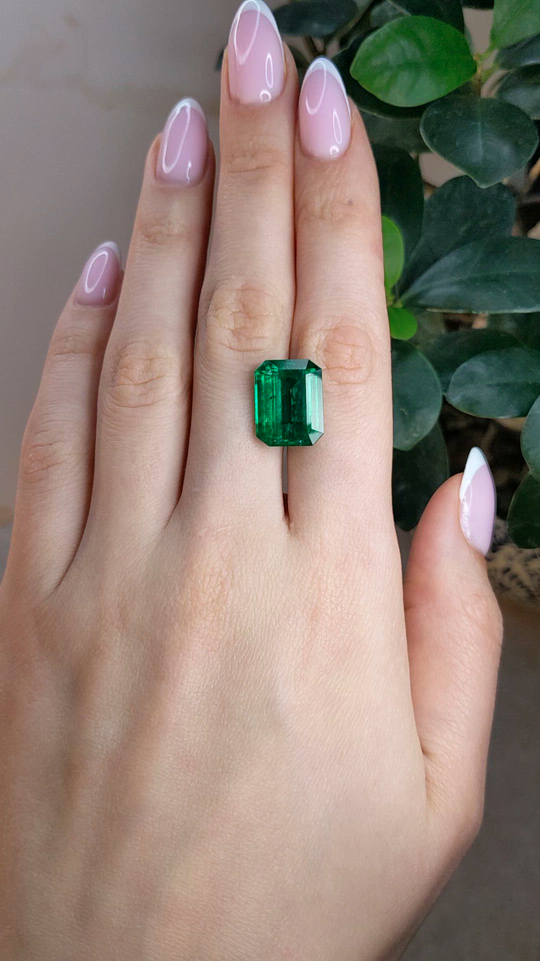11.16 Ct. Emerald from Zambia Size Video