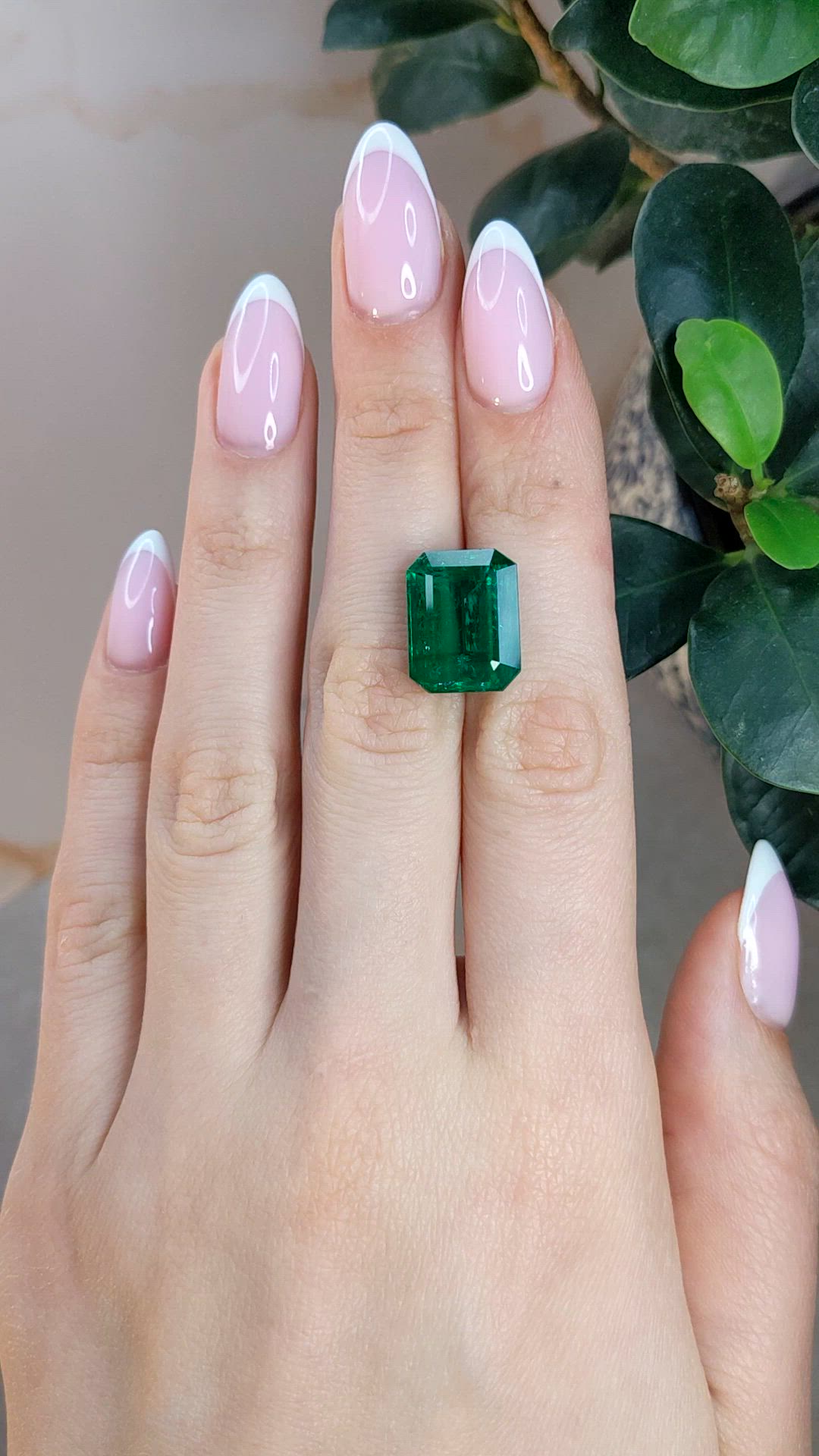 11.16 Ct. Emerald from Zambia Size Video