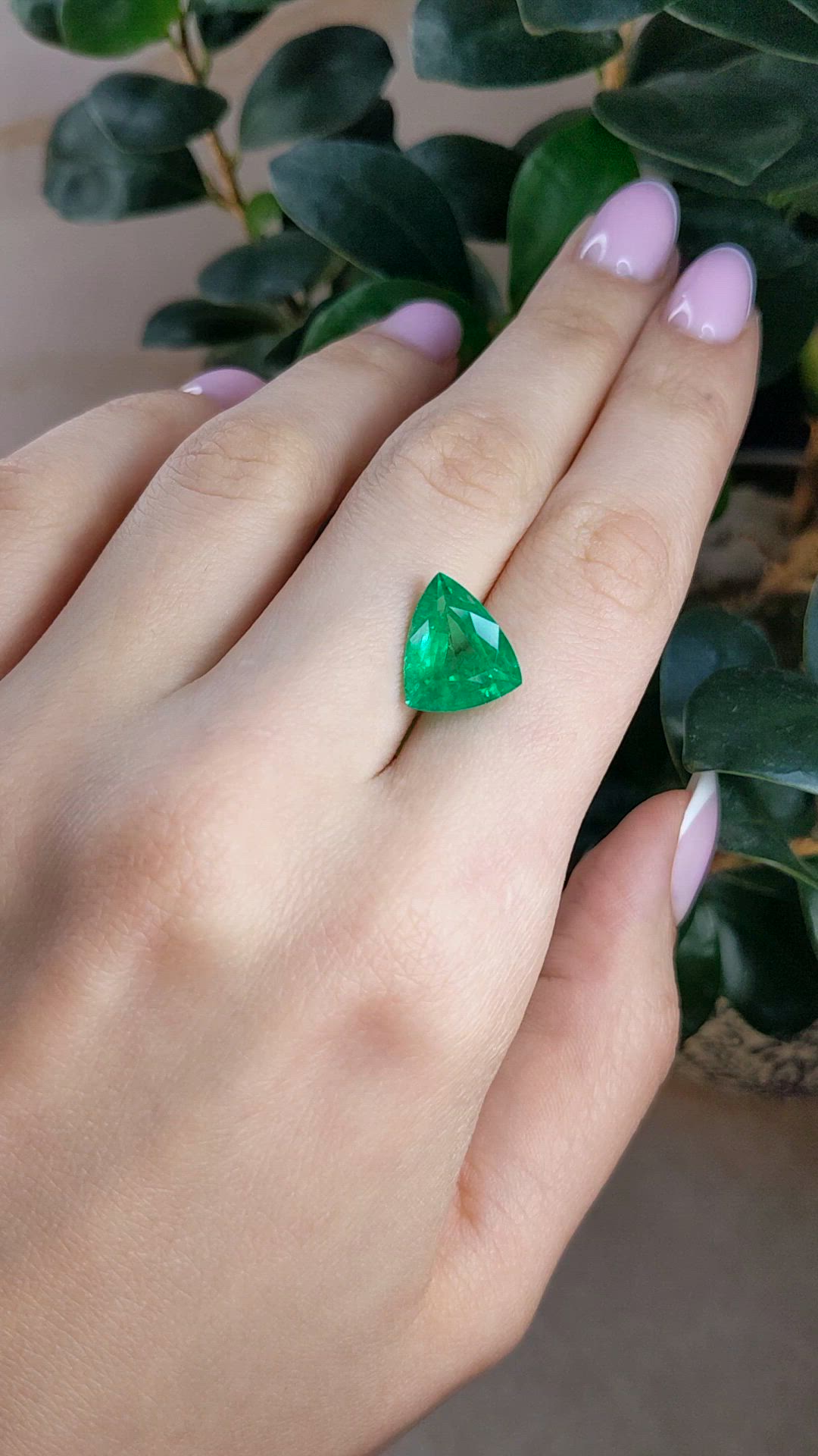 5.12 Ct. Emerald from Ethiopia Size Video