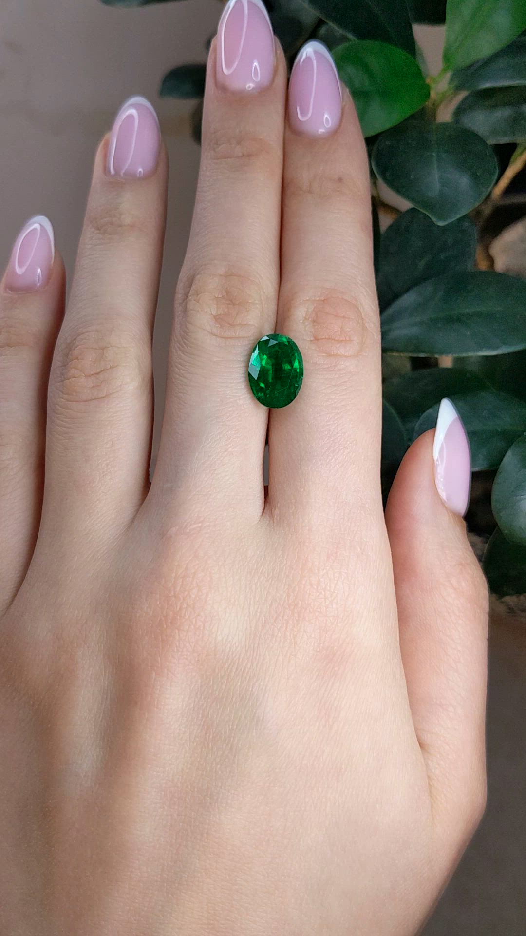 4.29 Ct. Emerald from Zambia Size Video