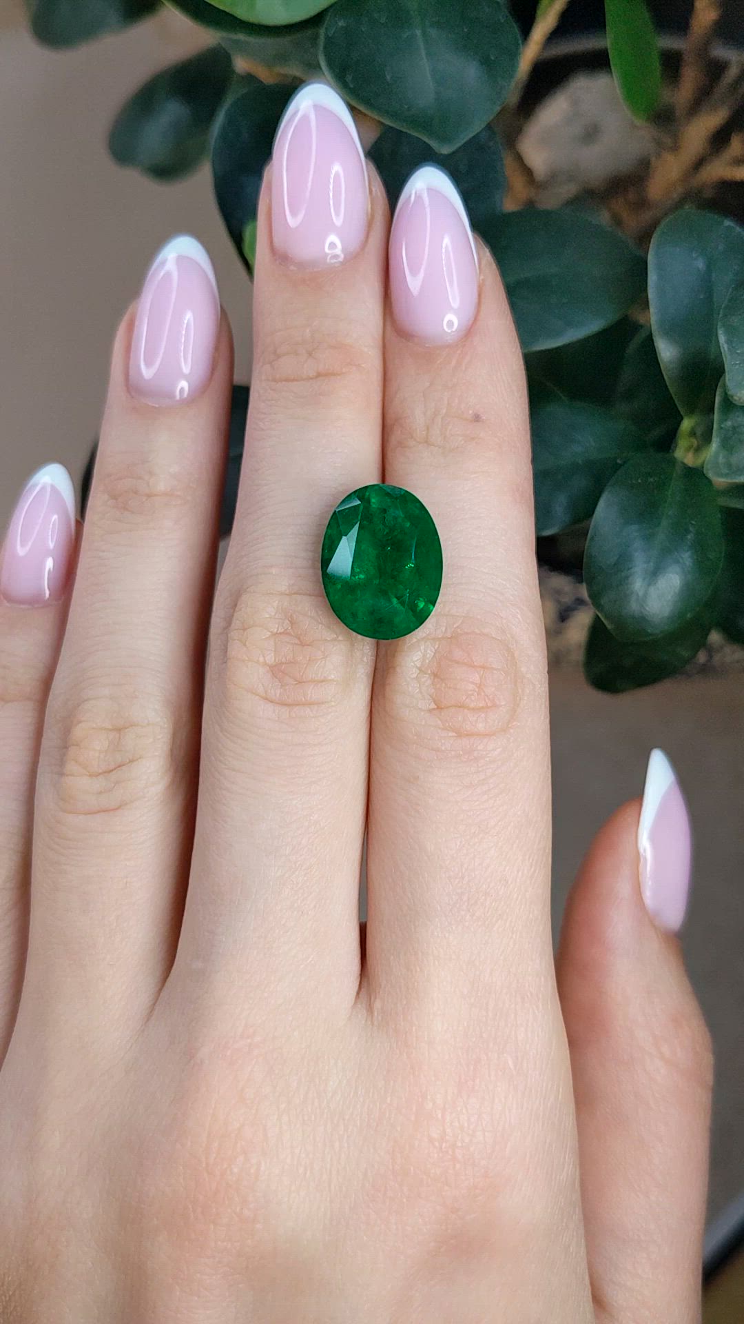 10.22 Ct. Emerald from Zambia Size Video