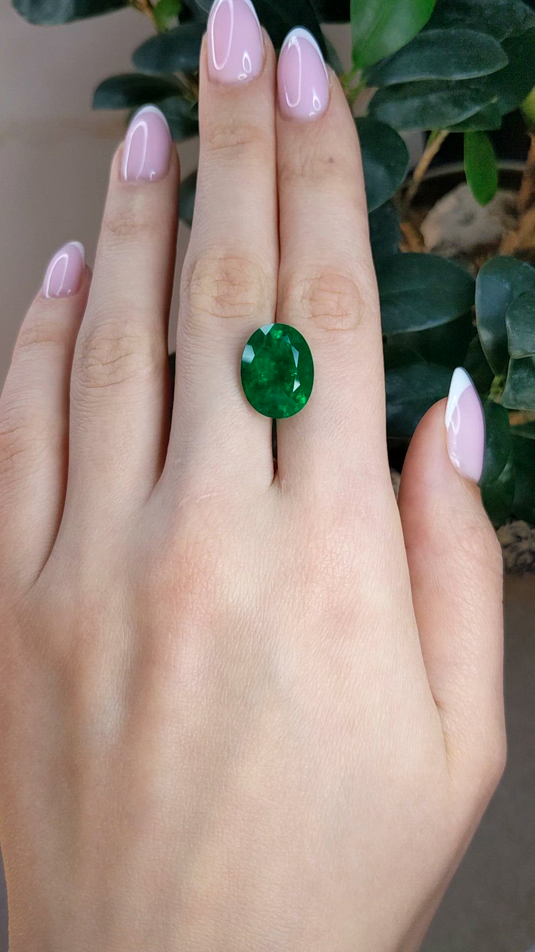 10.22 Ct. Emerald from Zambia Size Video