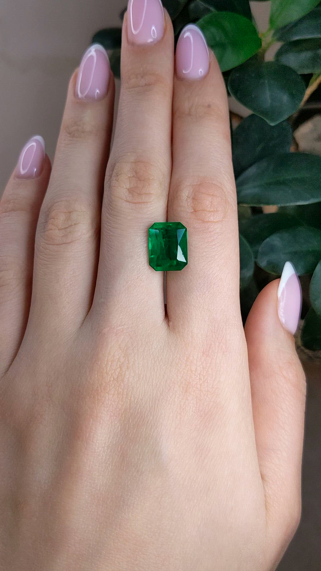 5.43 Ct. Emerald from Zambia Size Video