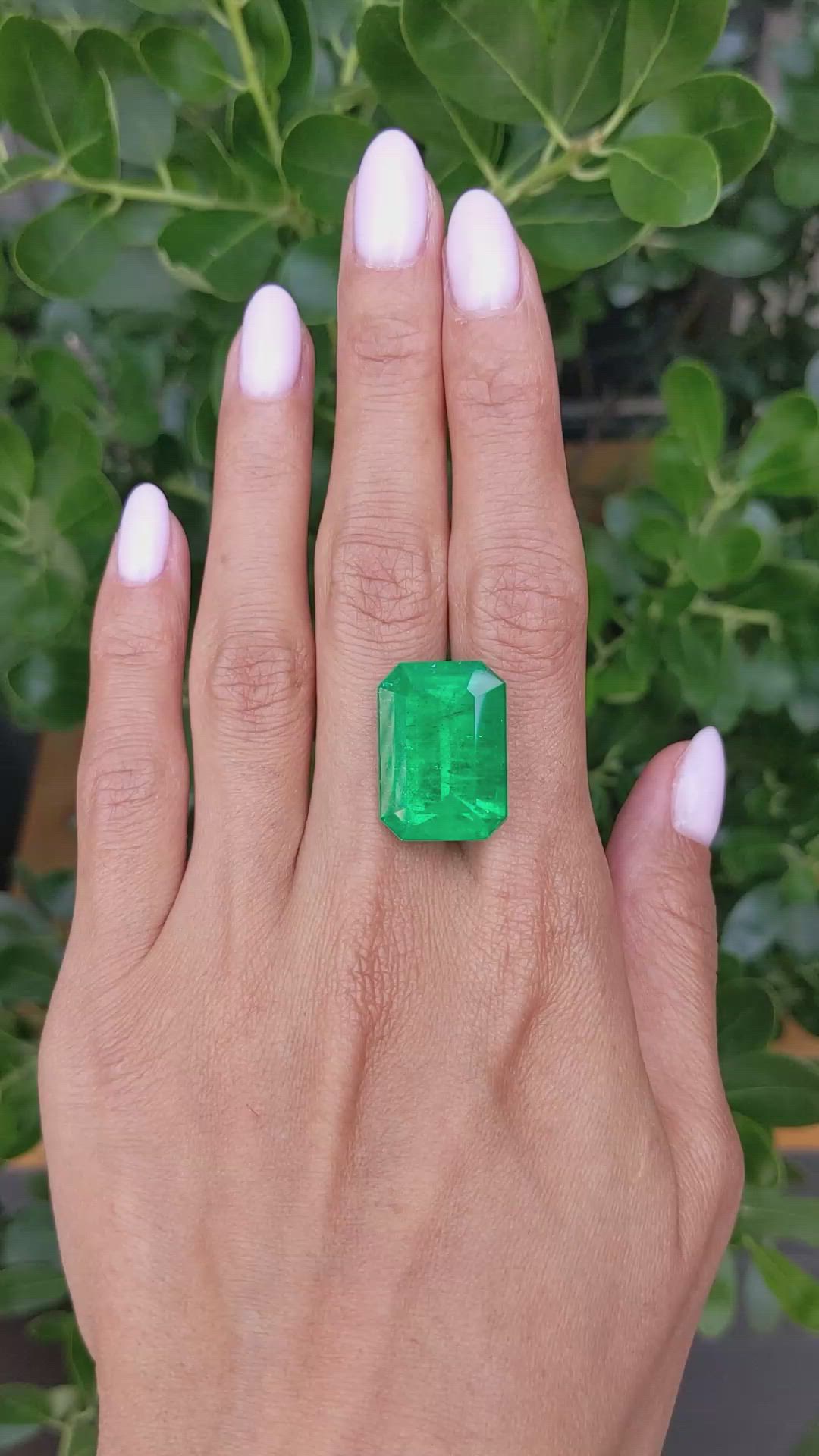 24.82 Ct. Emerald from Colombia Size Video