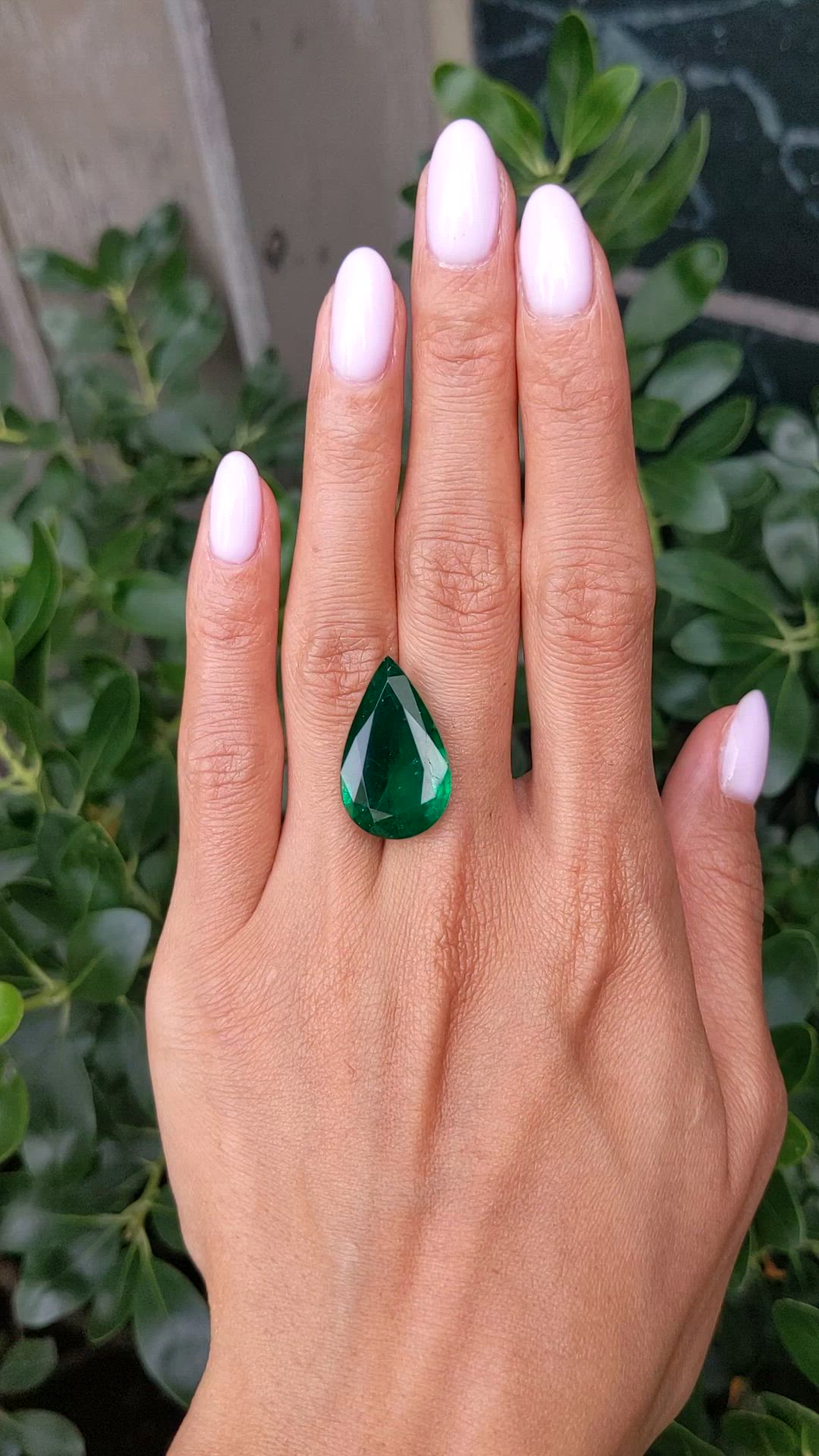 14.28 Ct. Emerald from Zambia Size Video
