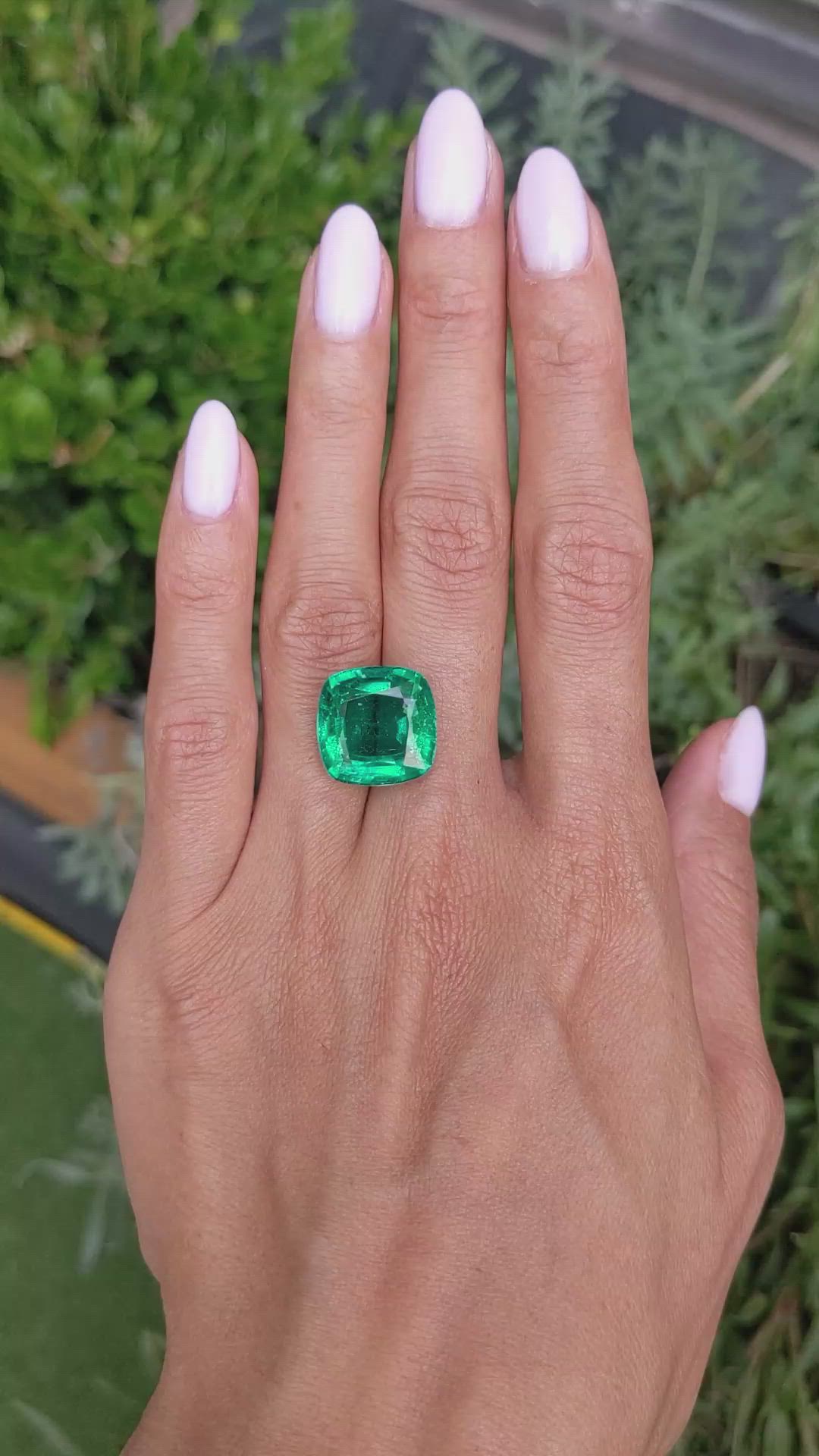 13.87 Ct. Emerald from Zambia Size Video