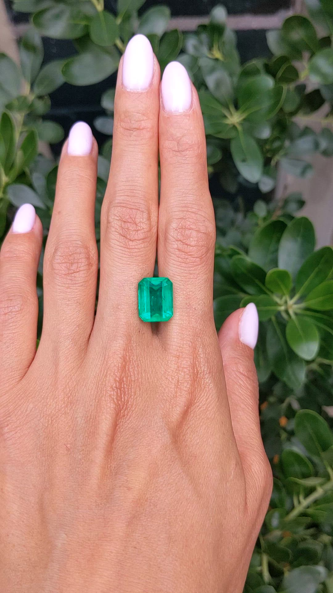 8.28 Ct. Emerald from Colombia - Muzo Size Video