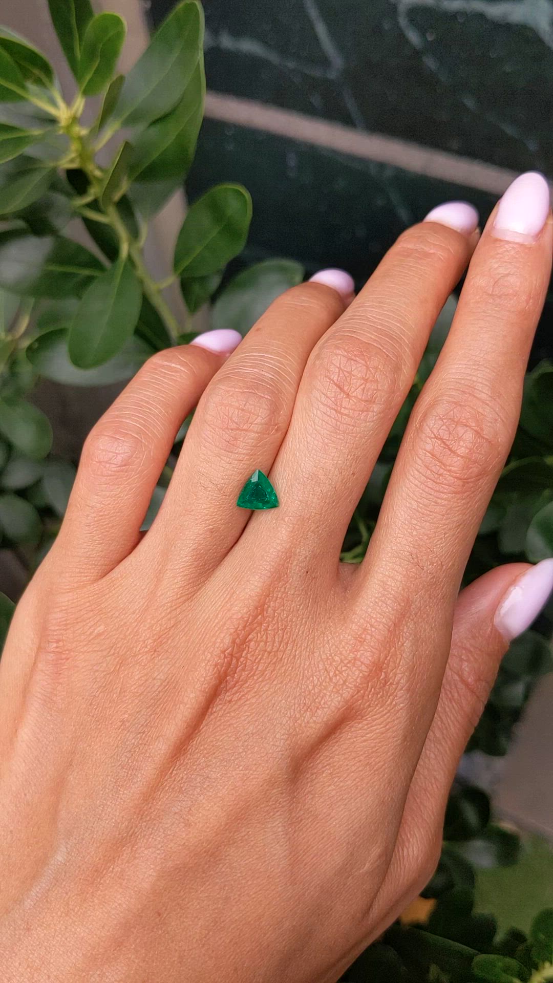 0.60 Ct. Emerald from Colombia Size Video