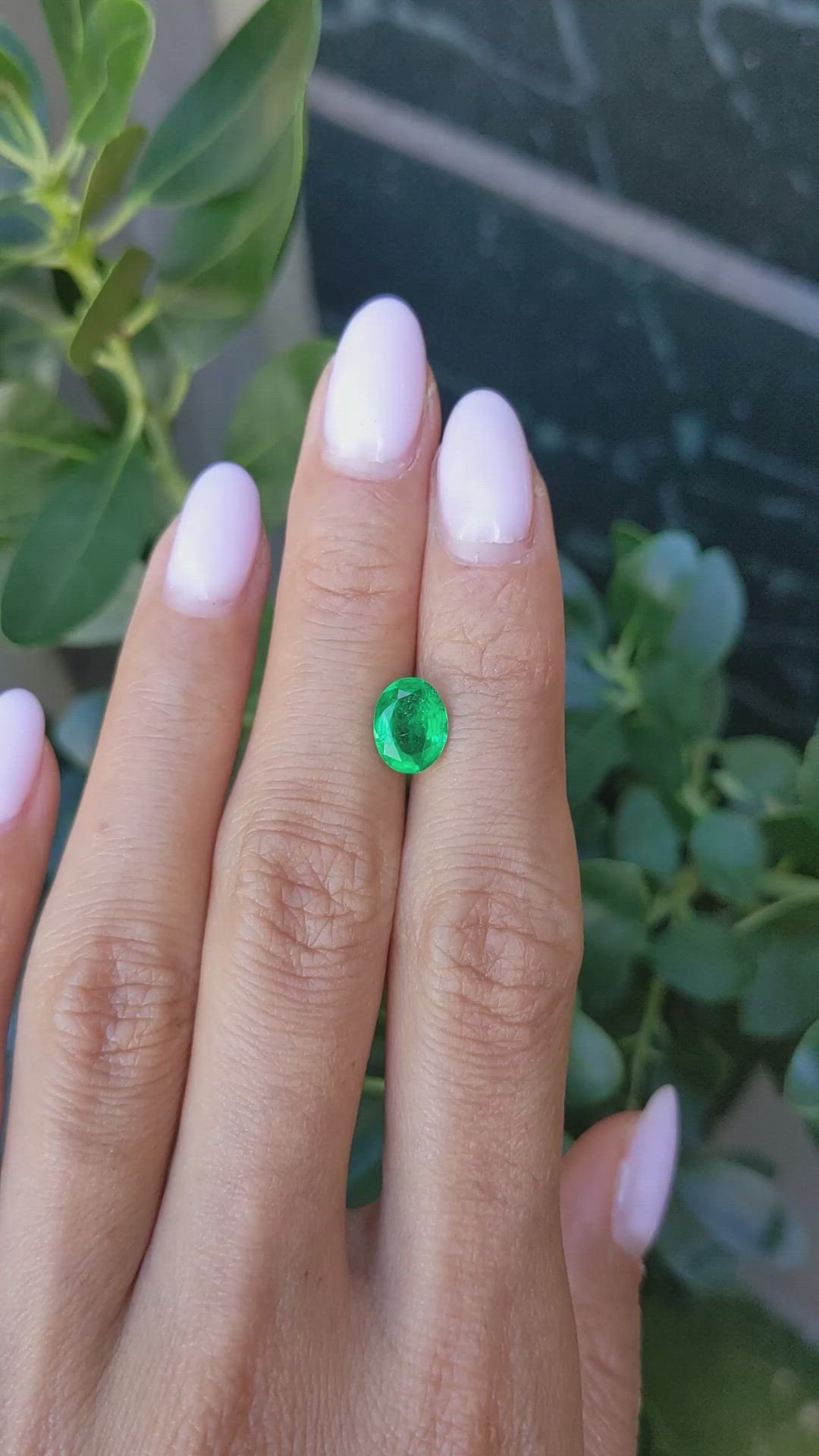 1.51 Ct. Emerald from Zambia Size Video