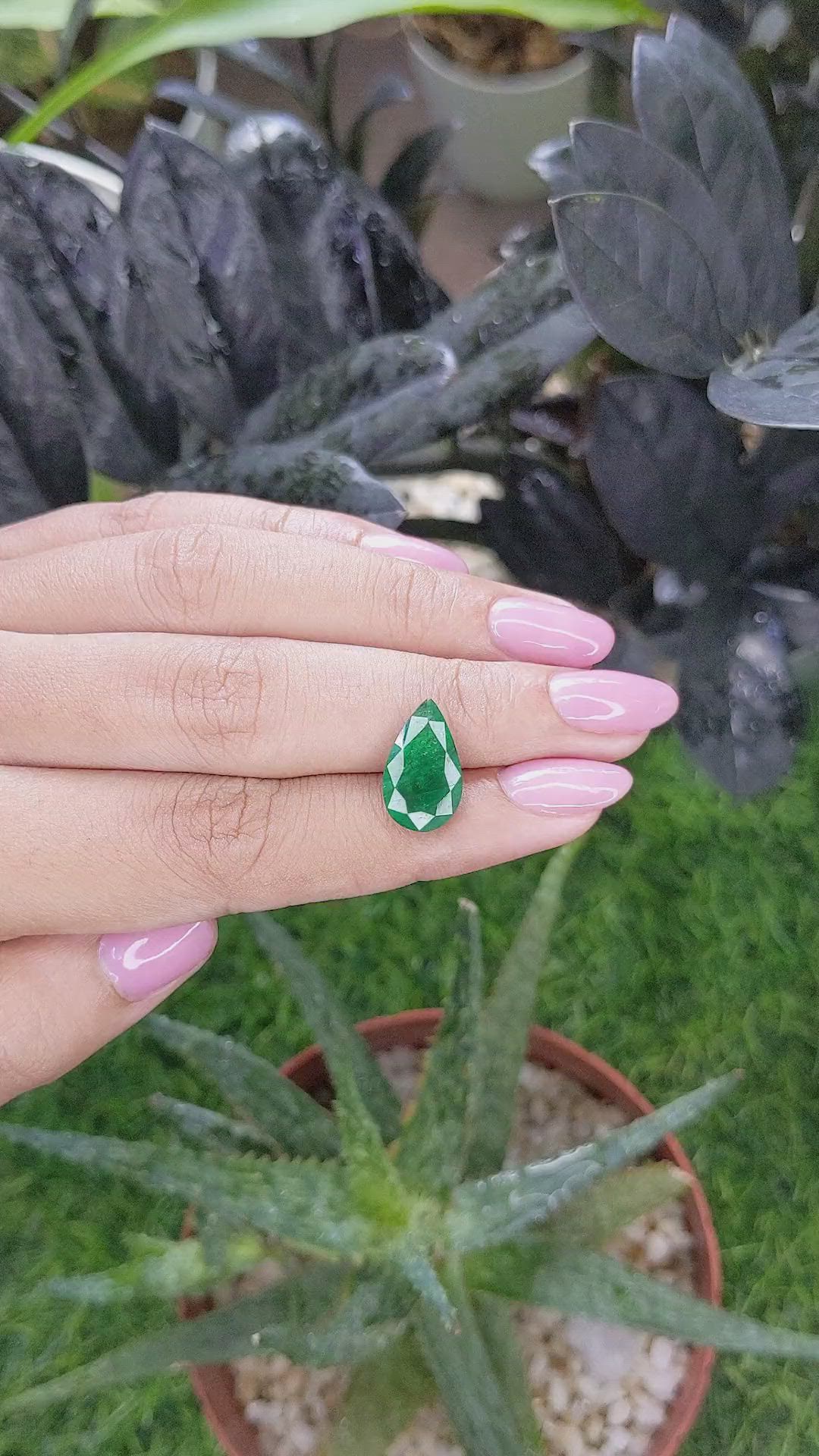 3.49 Ct. Emerald from Zambia Size Video