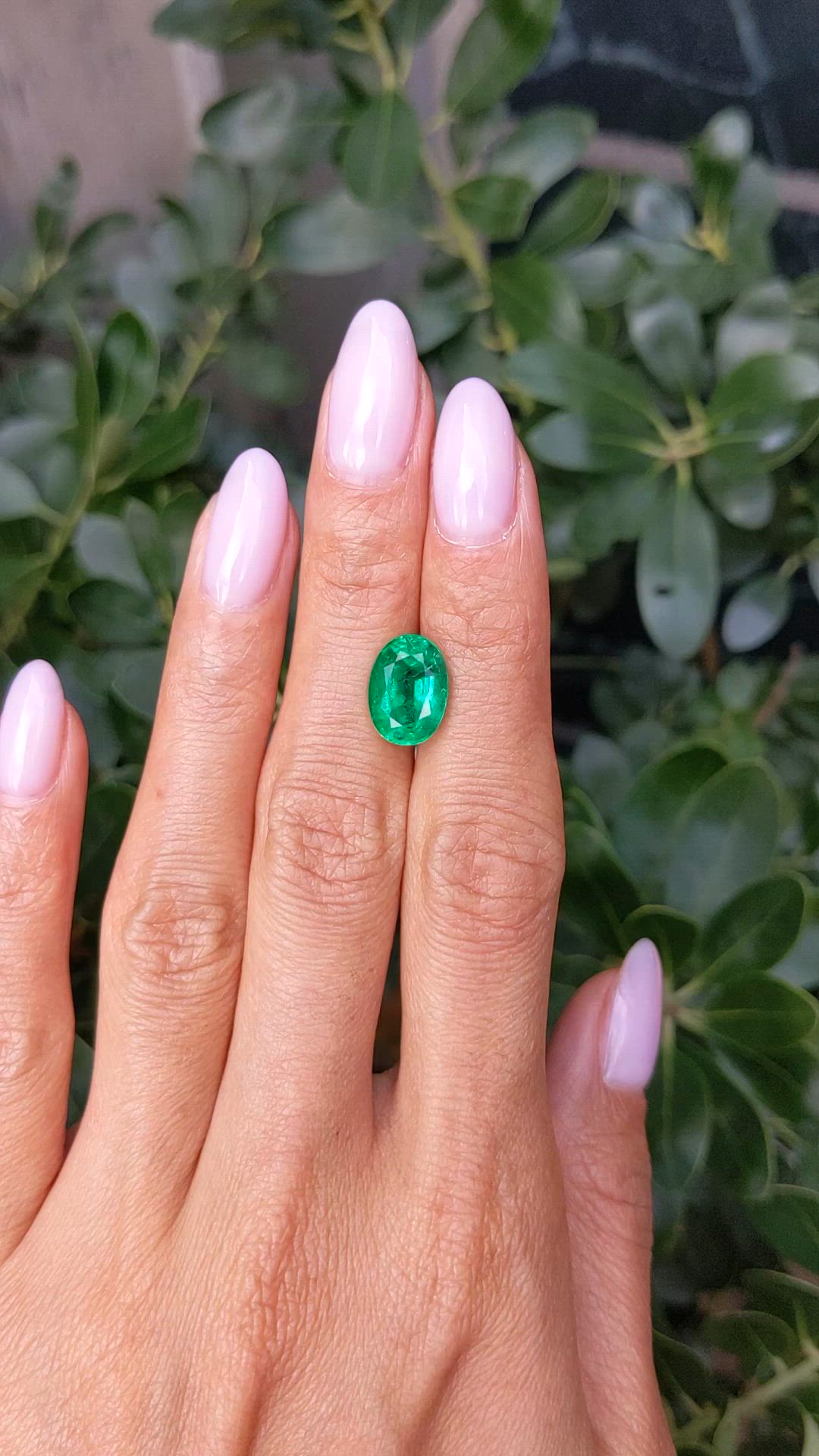 3.79 Ct. Emerald from Zambia Size Video