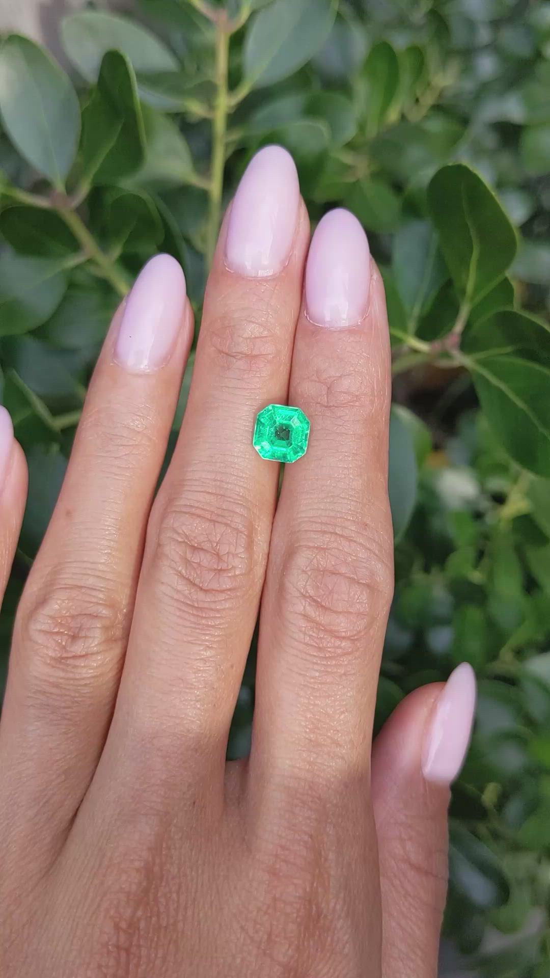 1.64 Ct. Emerald from Colombia Size Video