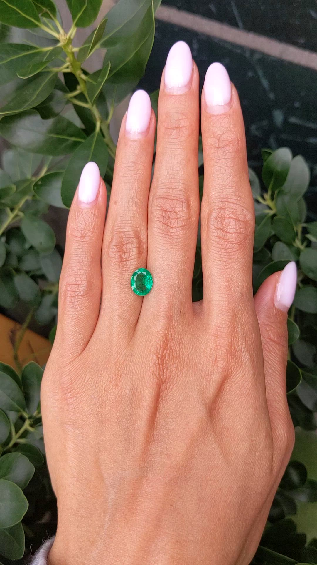 1.69 Ct. Emerald from Zambia Size Video