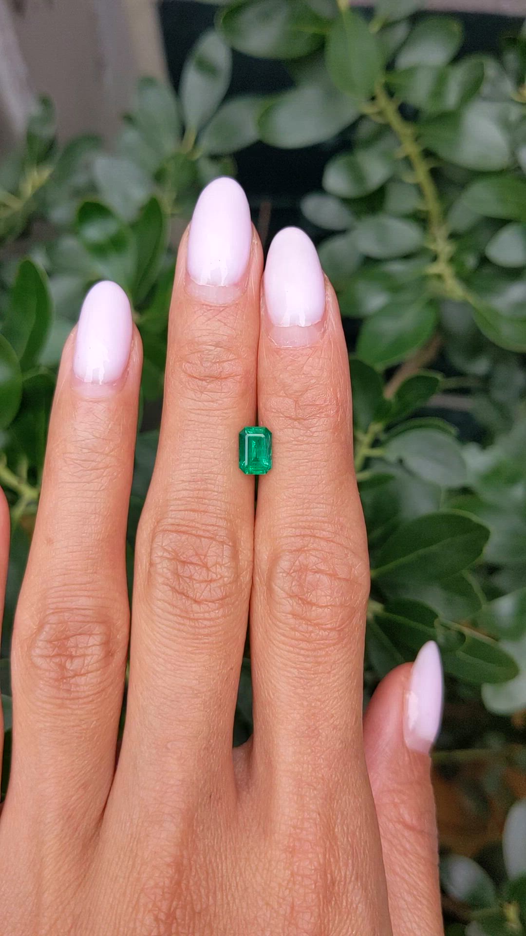 0.82 Ct. Emerald from Zambia Size Video