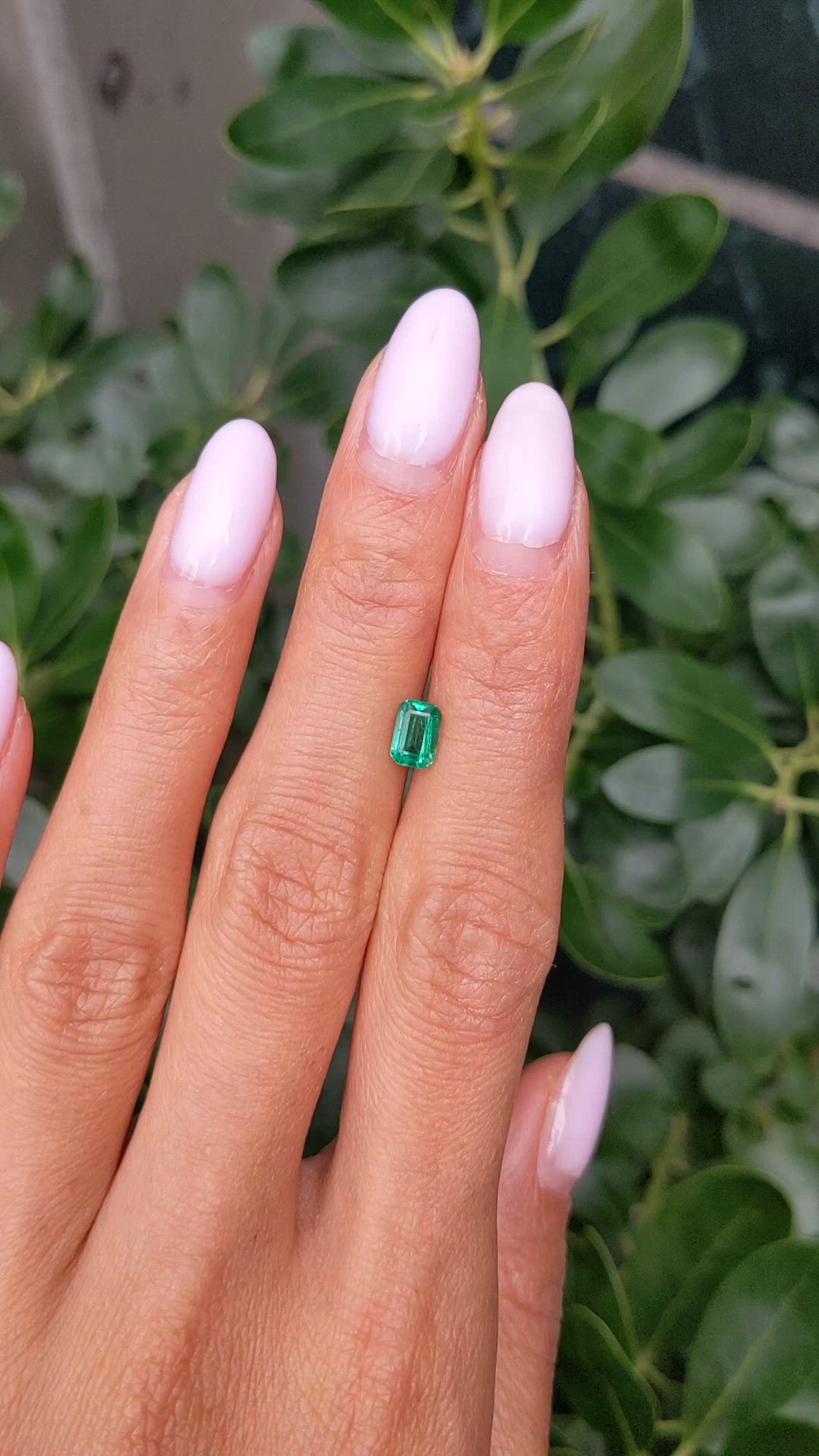 0.75 Ct. Emerald from Zambia Size Video