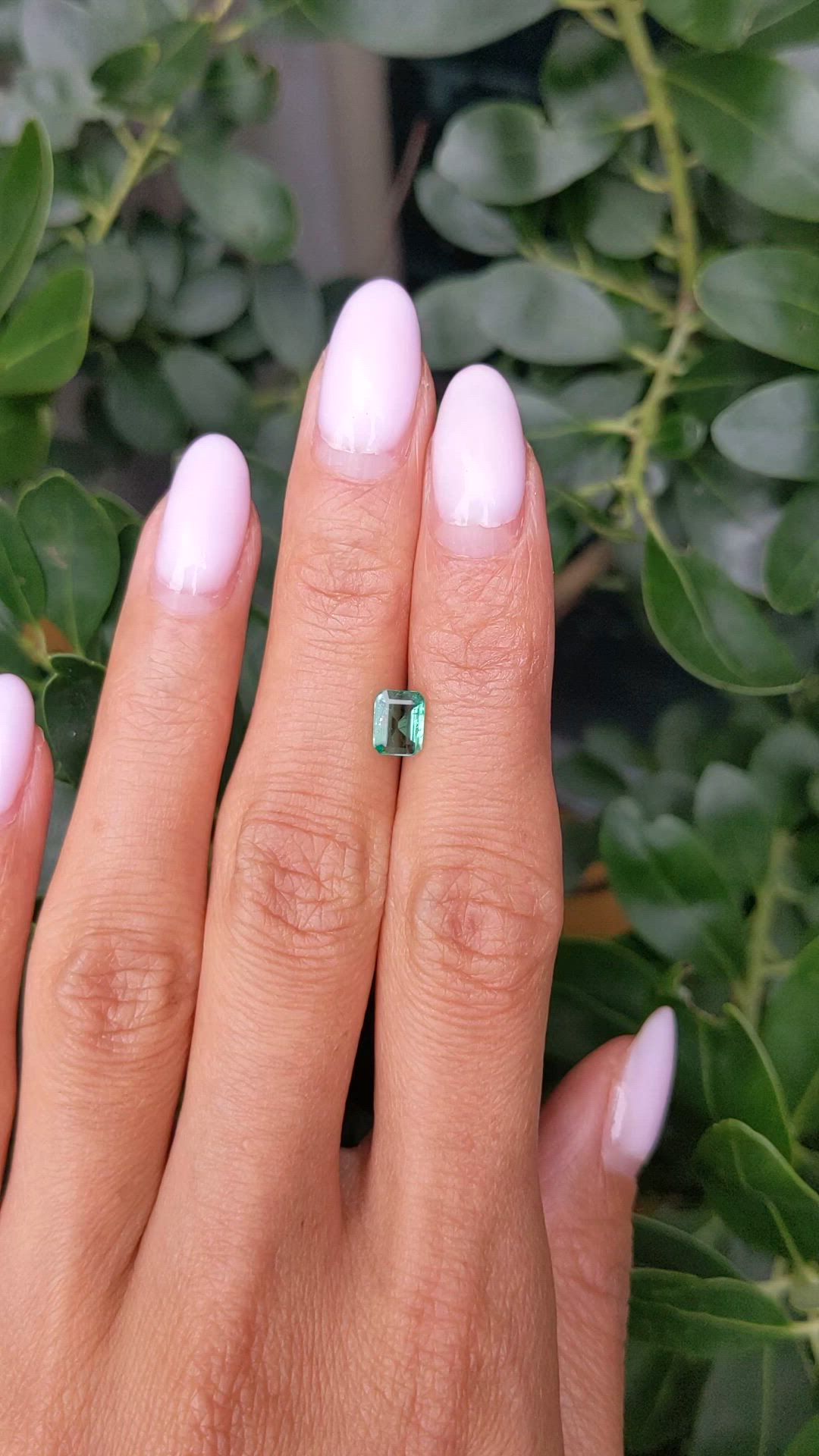 0.65 Ct. Emerald from Zambia Size Video