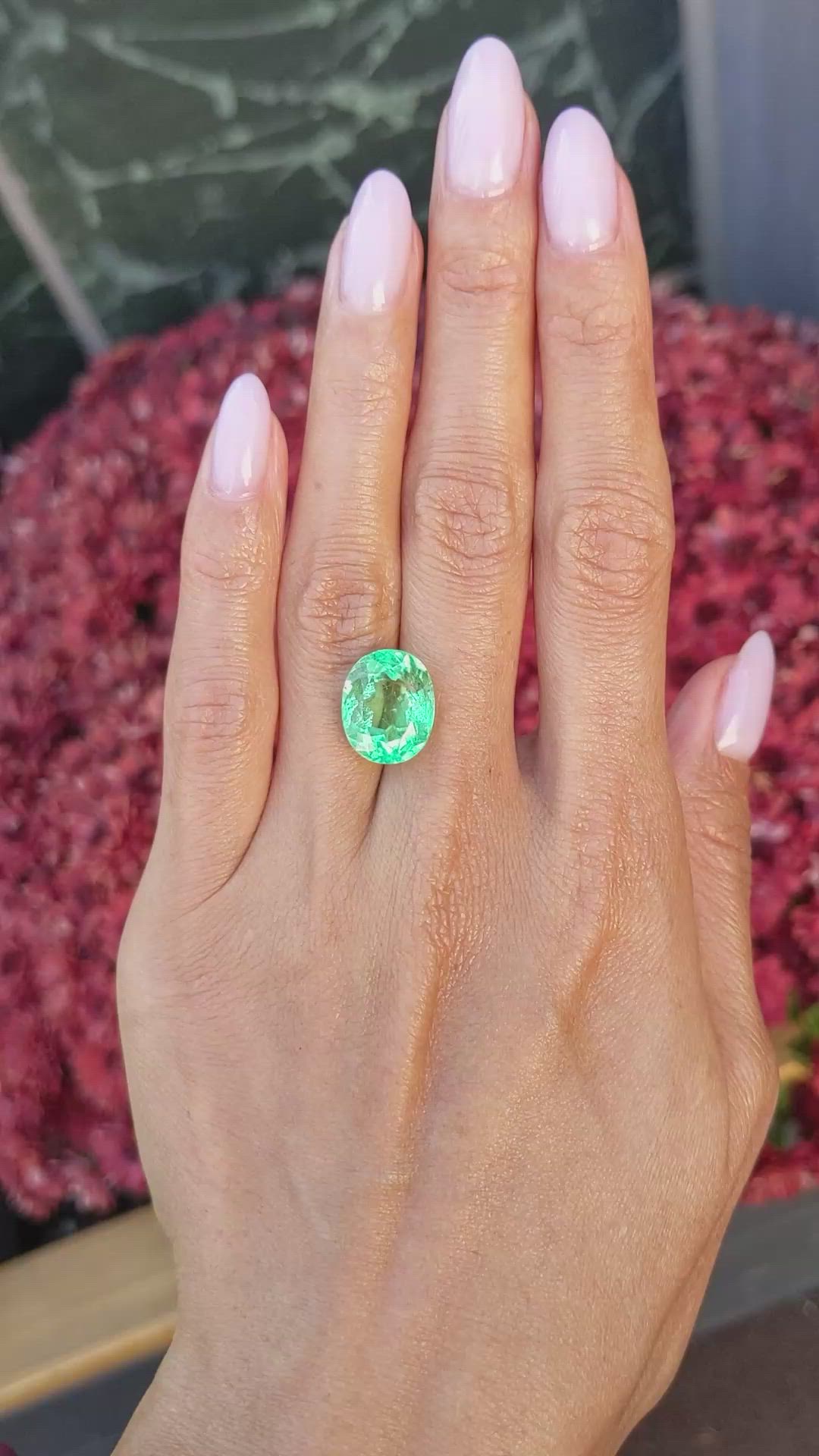 8.46 Ct. Emerald from Colombia Size Video