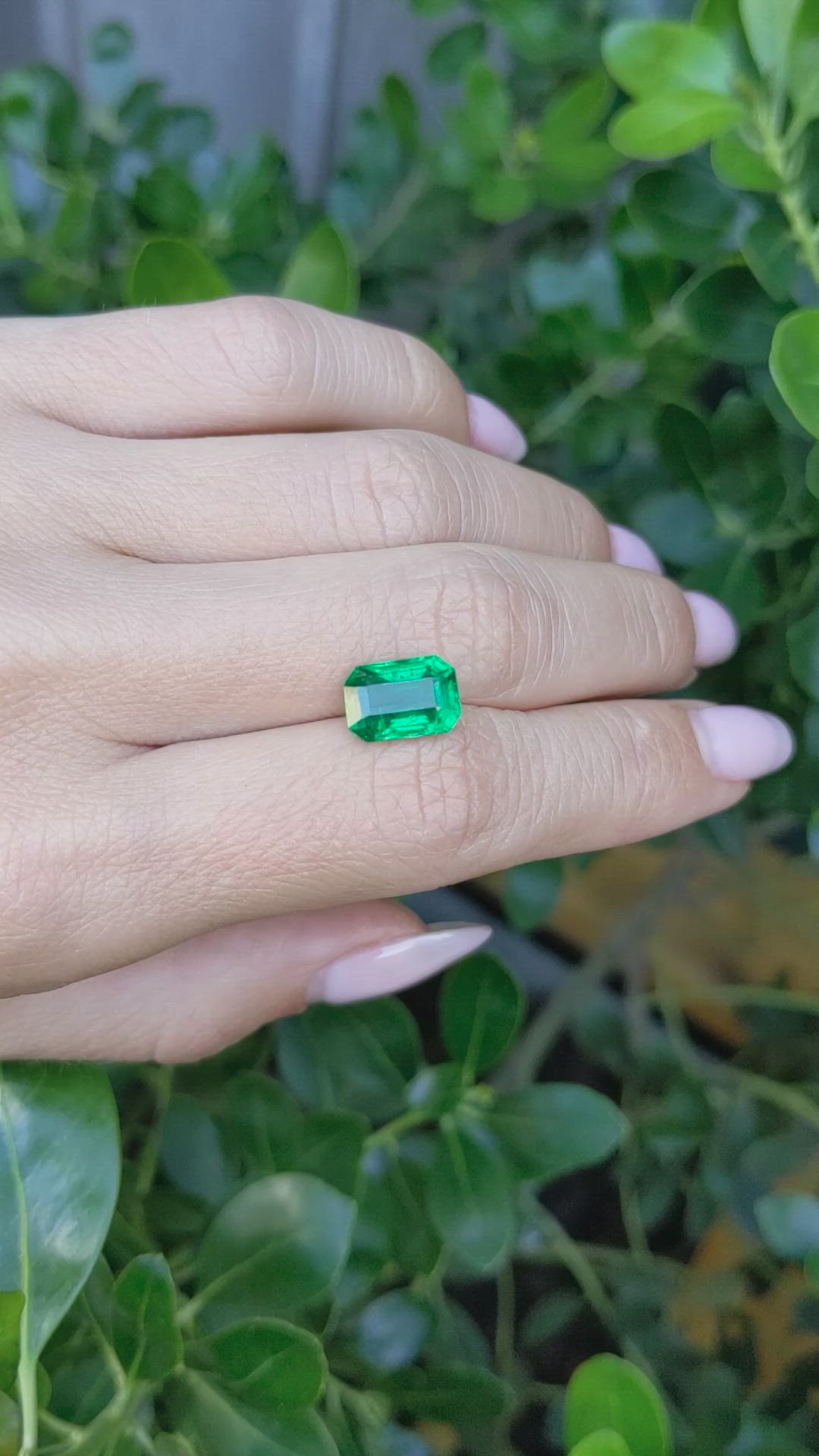 2.91 Ct. Emerald from Zambia Size Video