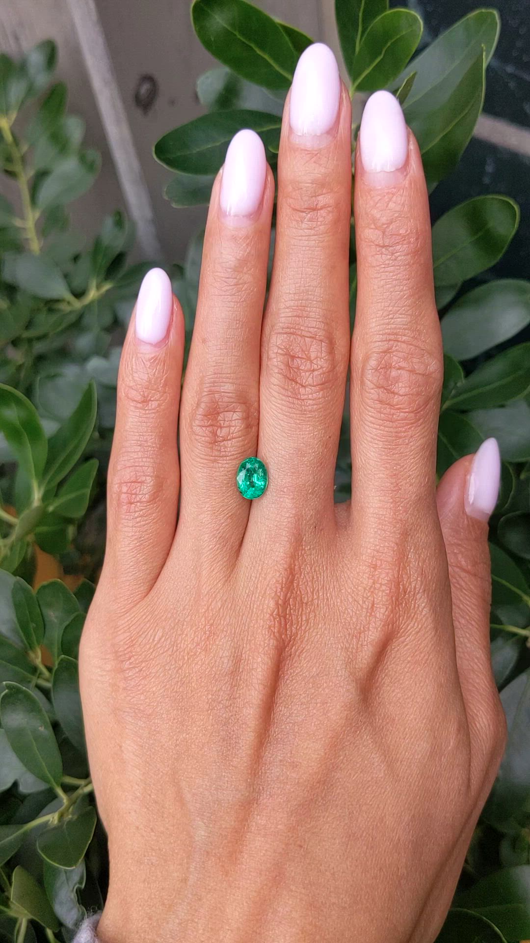 1.34 Ct. Emerald from Zambia Size Video