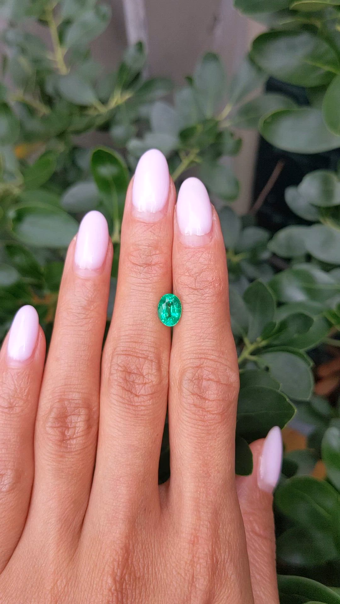 1.24 Ct. Emerald from Zambia Size Video