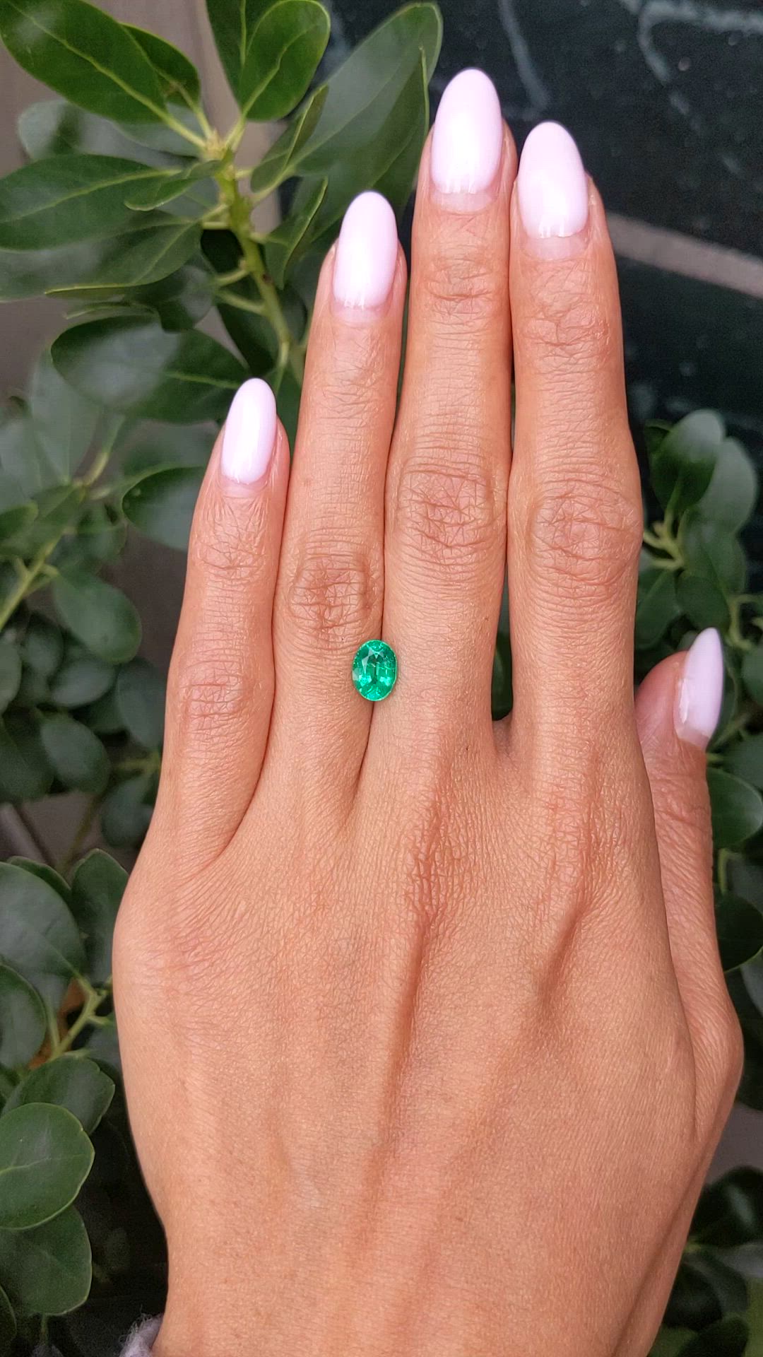 1.24 Ct. Emerald from Zambia Size Video