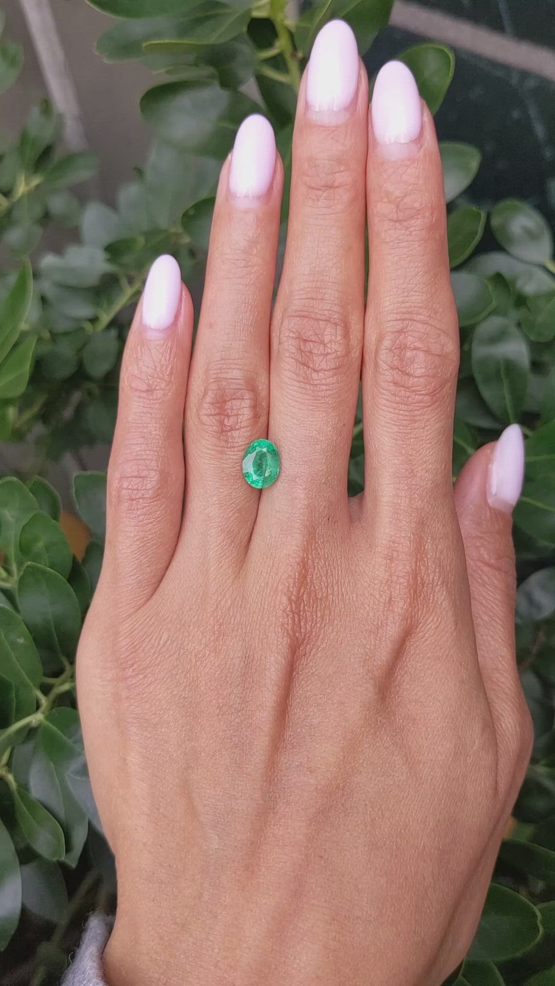 1.64 Ct. Emerald from Zambia Size Video