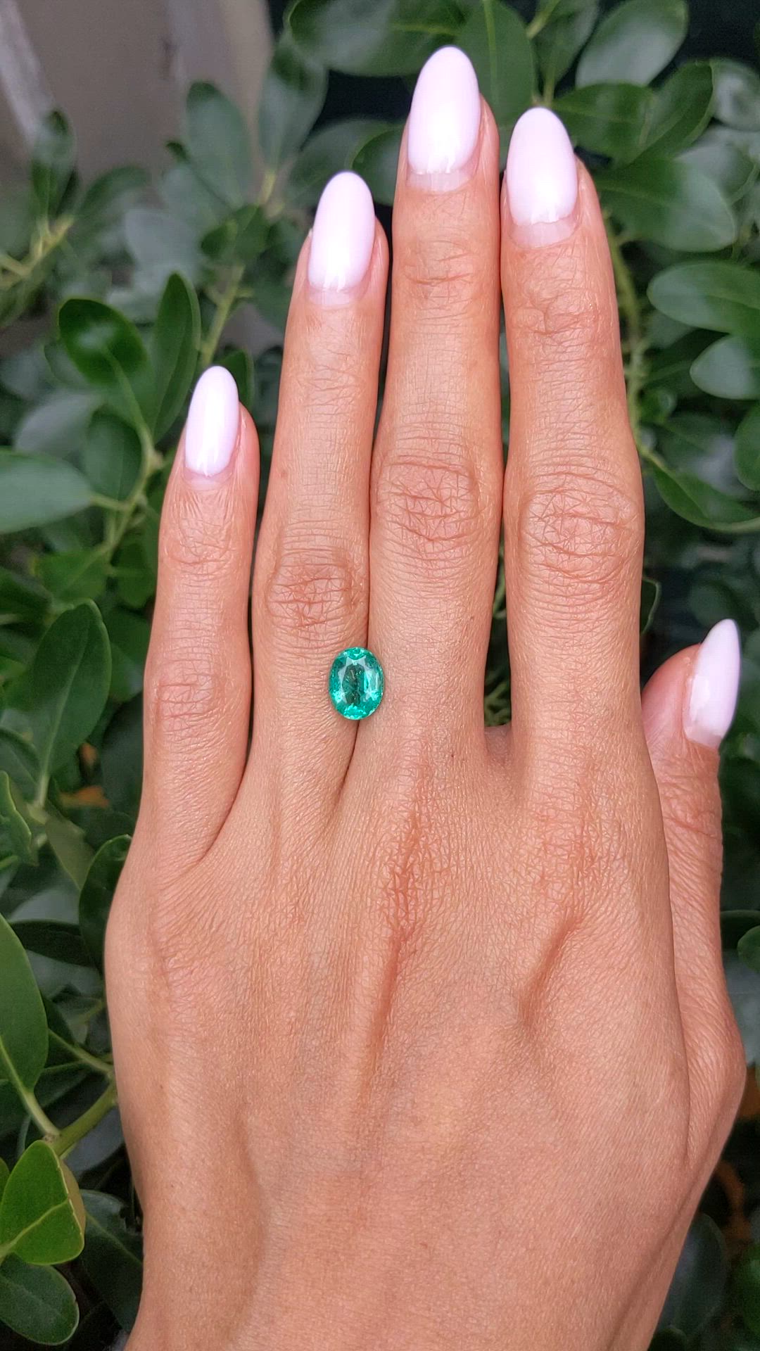 1.71 Ct. Emerald from Zambia Size Video
