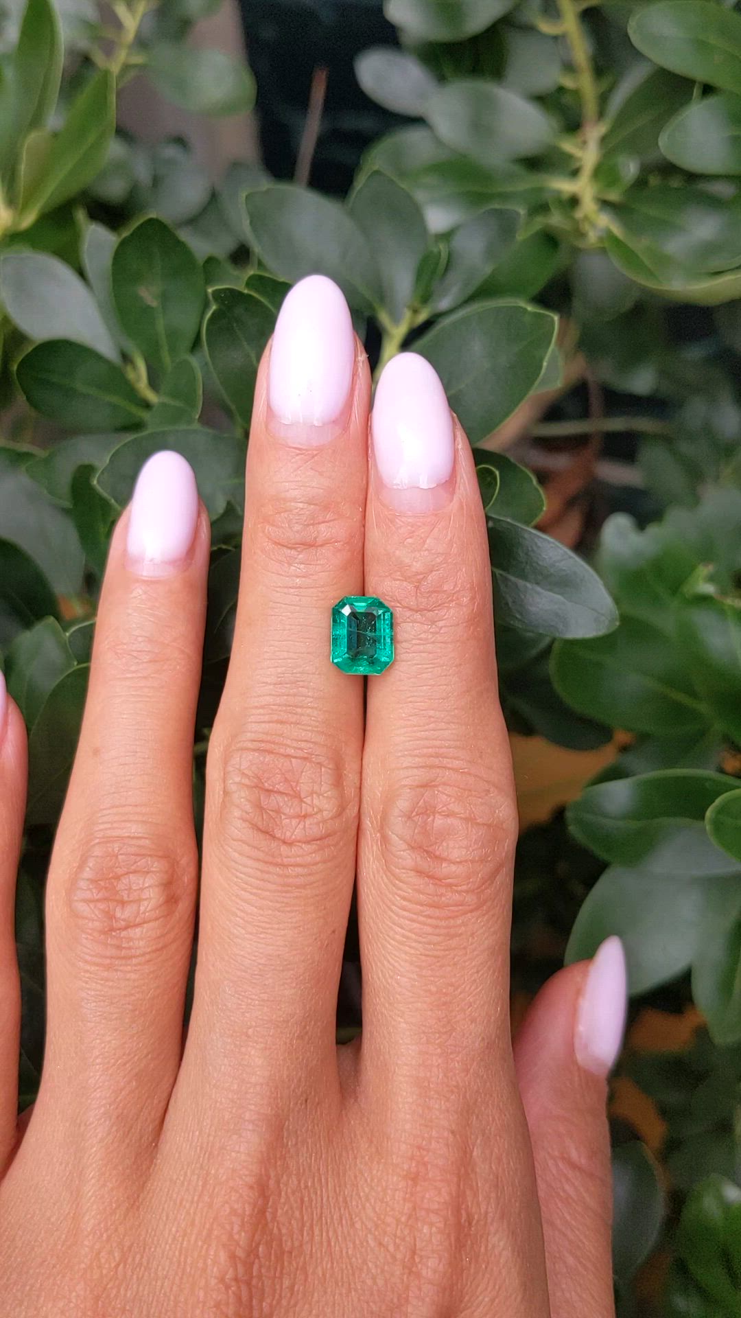1.86 Ct. Emerald from Zambia Size Video