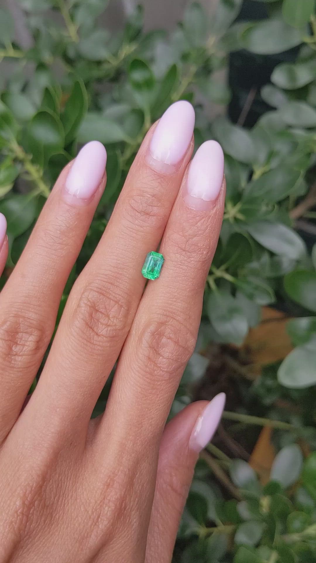 0.74 Ct. Emerald from Zambia Size Video