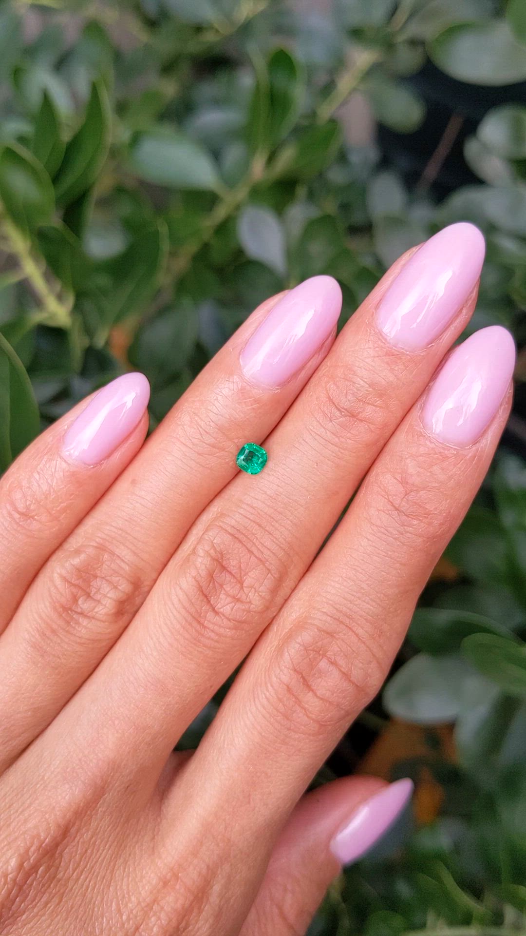 0.25 Ct. Emerald from Zambia Size Video