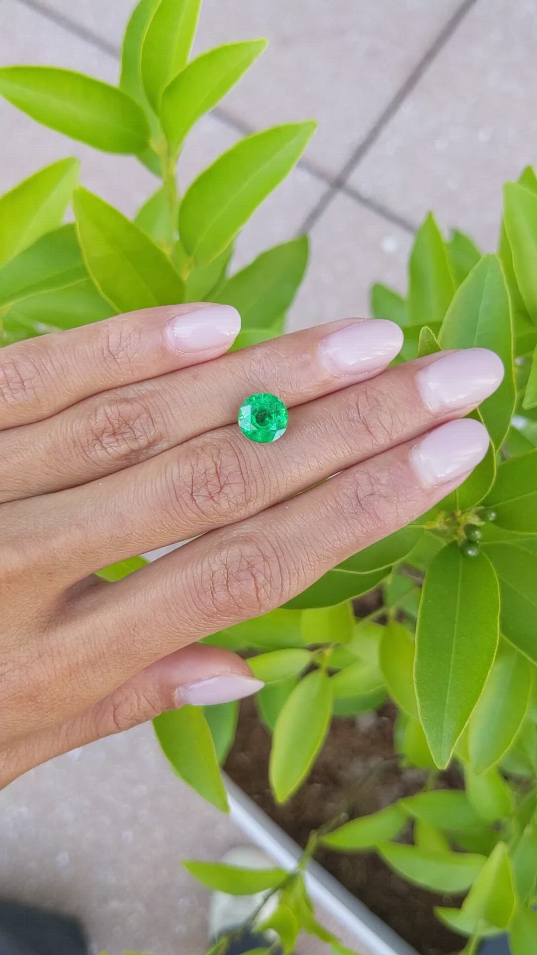 2.55 Ct. Emerald from Zambia Size Video