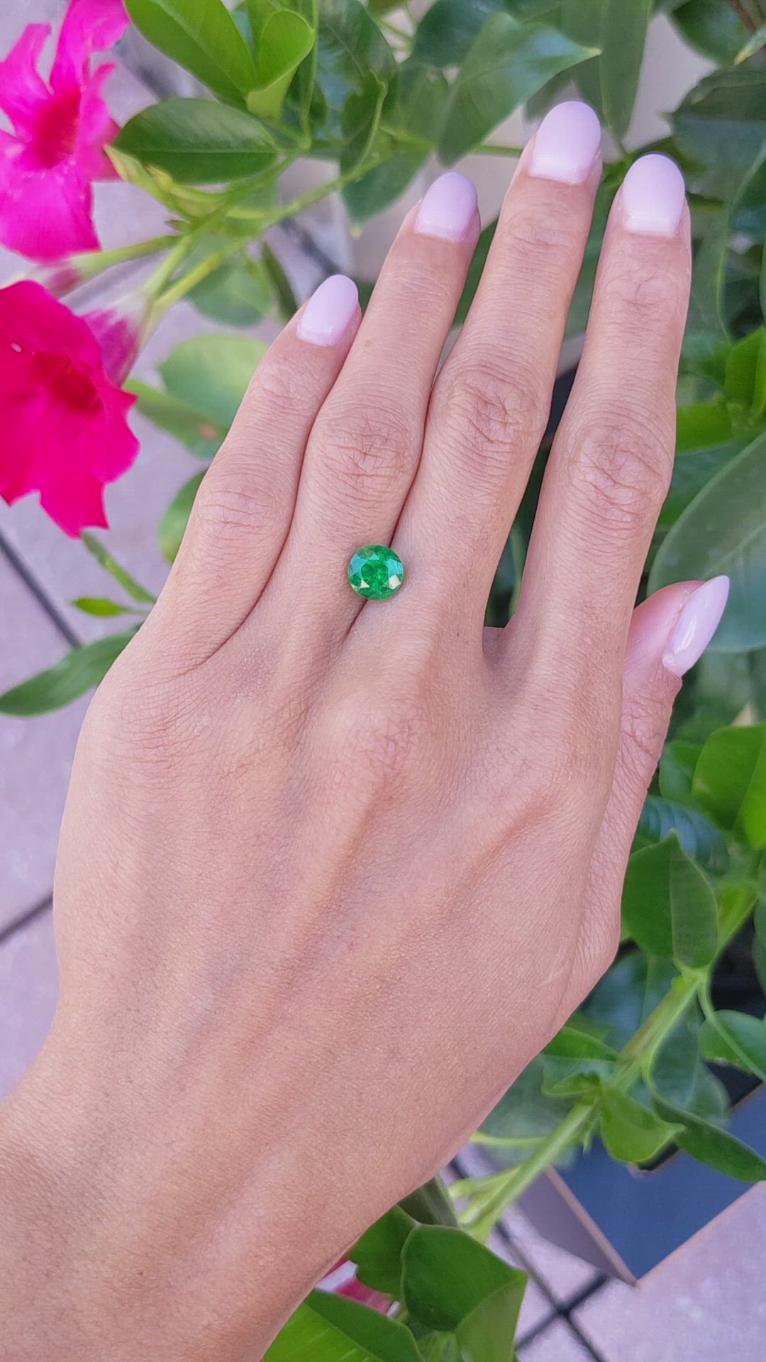 1.77 Ct. Emerald from Zambia Size Video