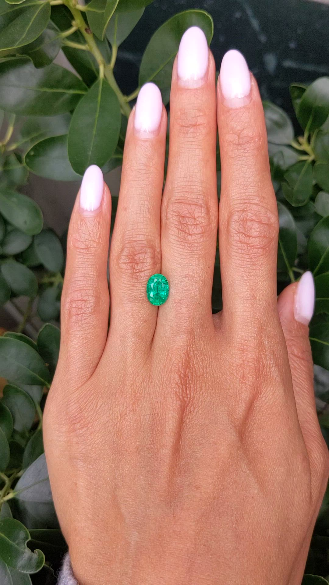 1.67 Ct. Emerald from Ethiopia Size Video