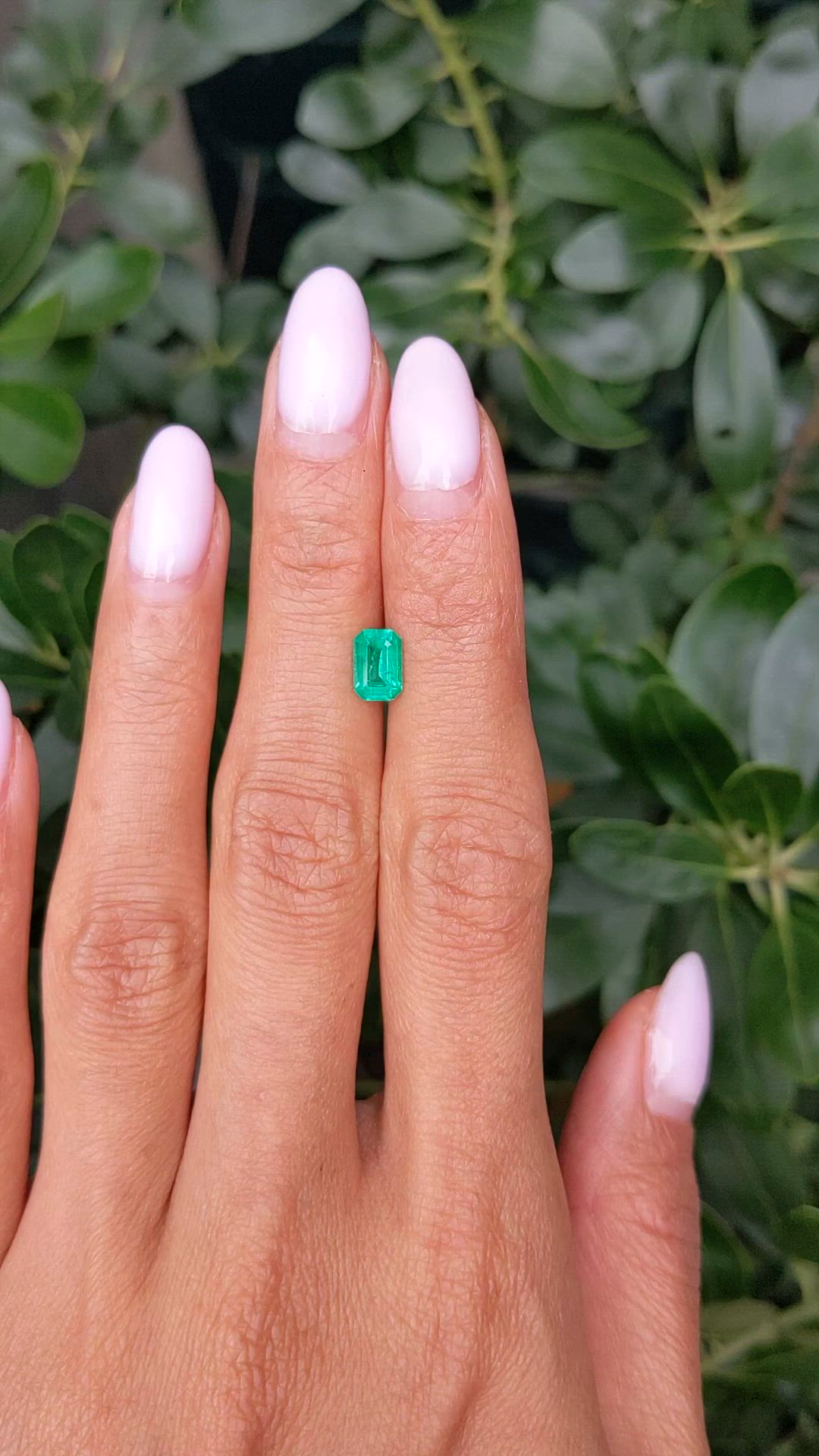 0.81 Ct. Emerald from Zambia Size Video