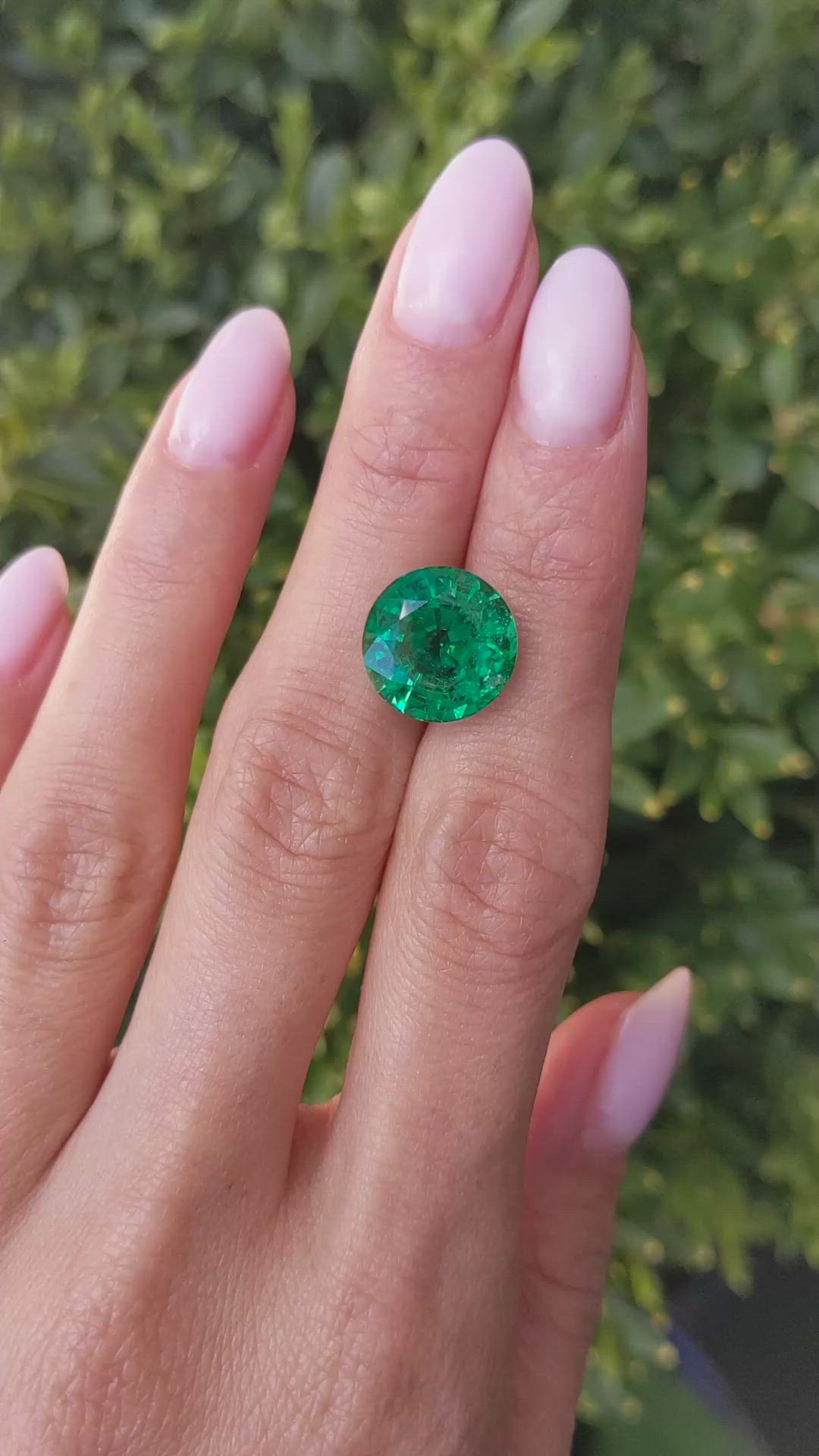 6.69 Ct. Emerald from Zambia Size Video