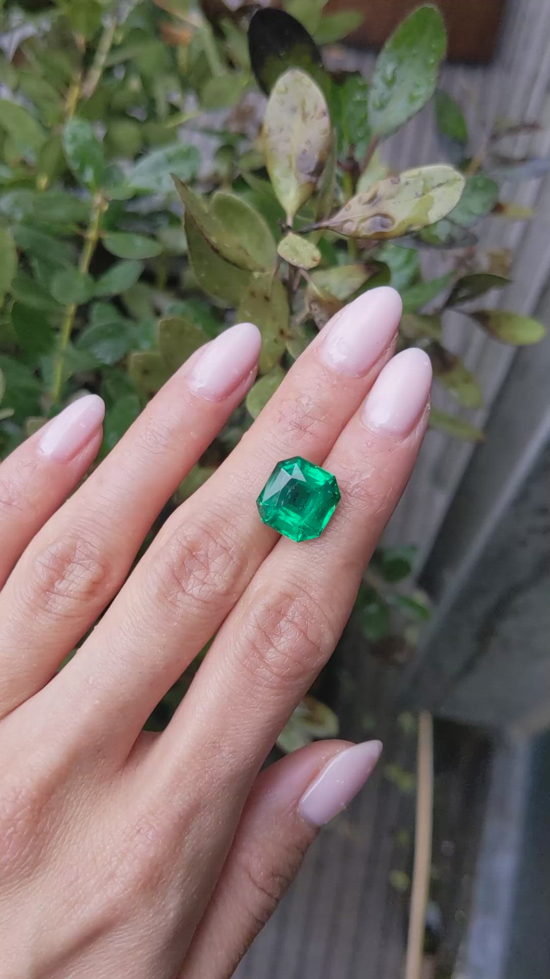 6.79 Ct. Emerald from Zambia Size Video