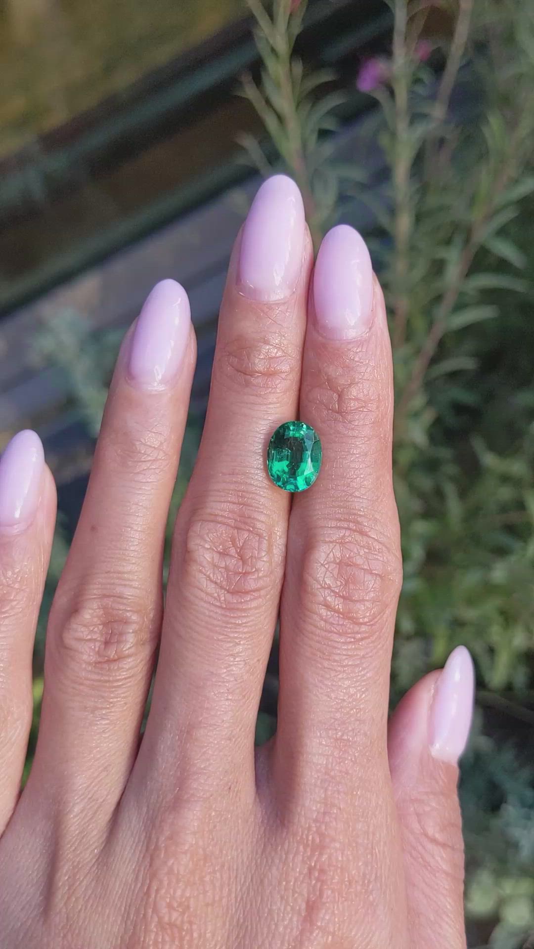 2.56 Ct. Emerald from Zambia Size Video