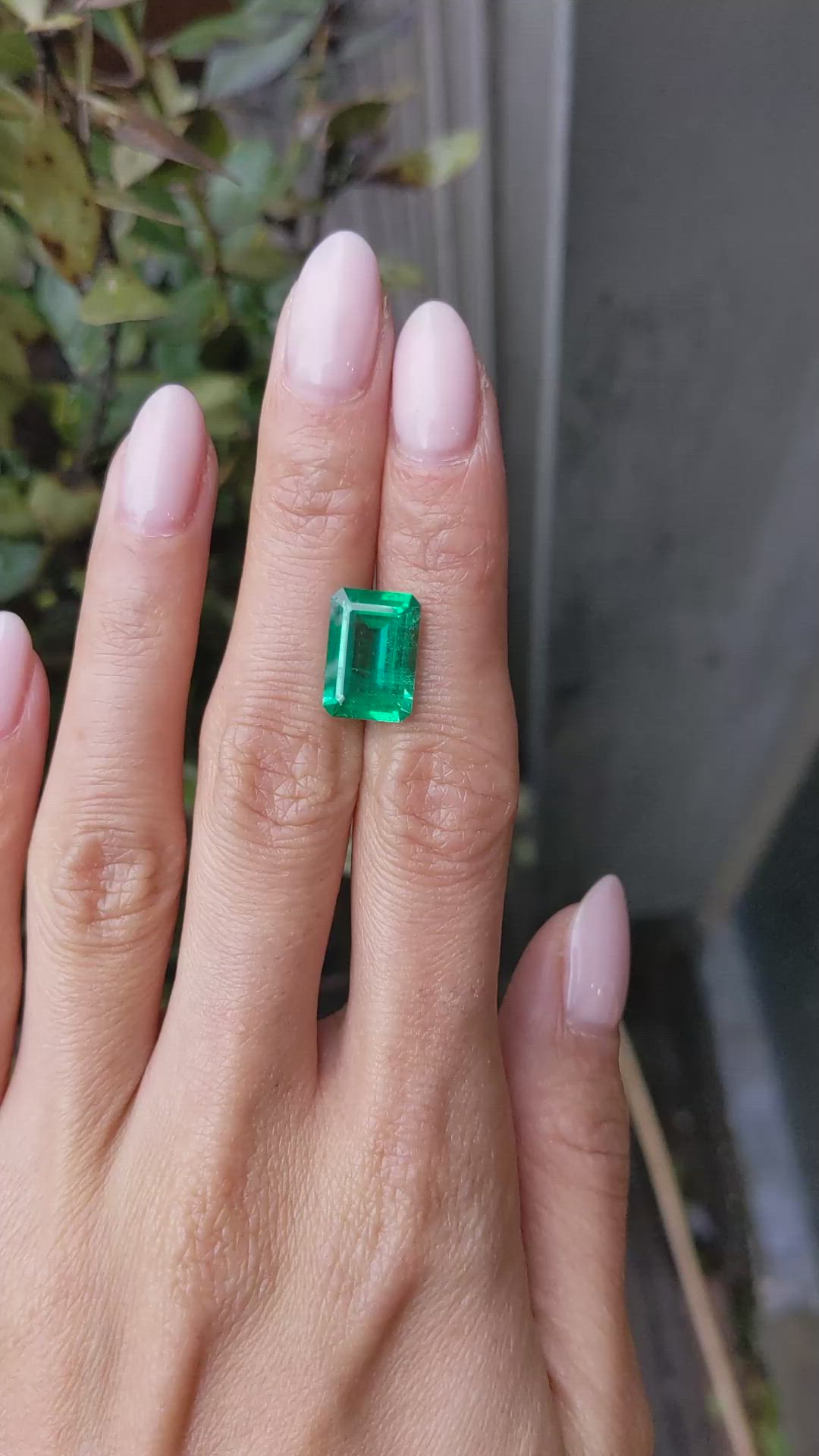 4.90 Ct. Emerald from Zambia Size Video