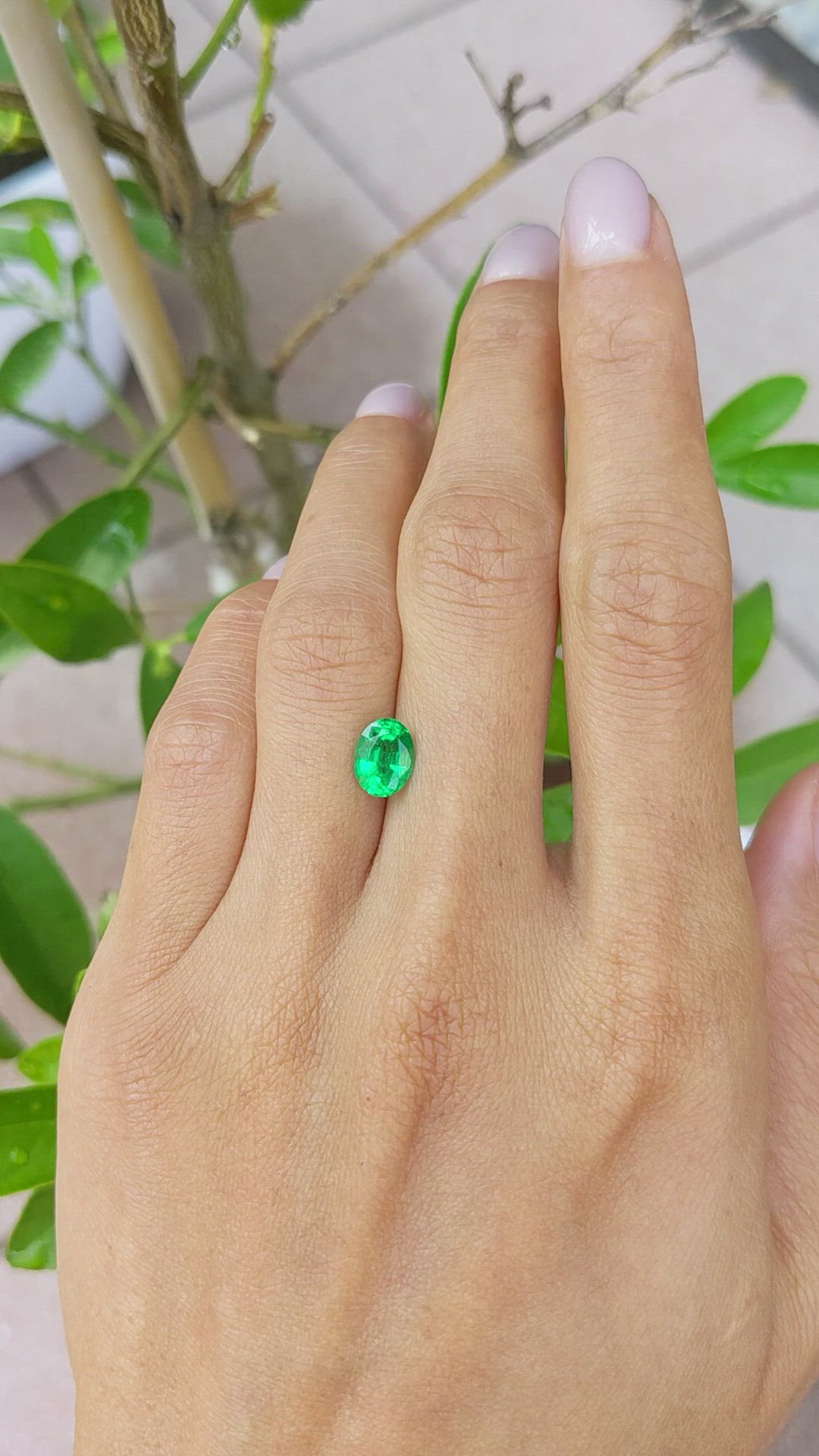 1.21 Ct. Emerald from Zambia Size Video