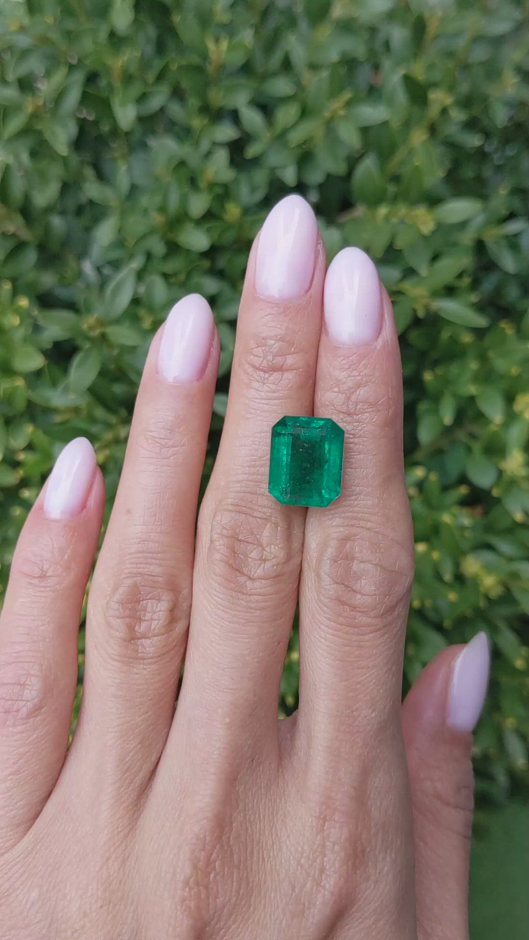 9.94 Ct. Emerald from Zambia Size Video