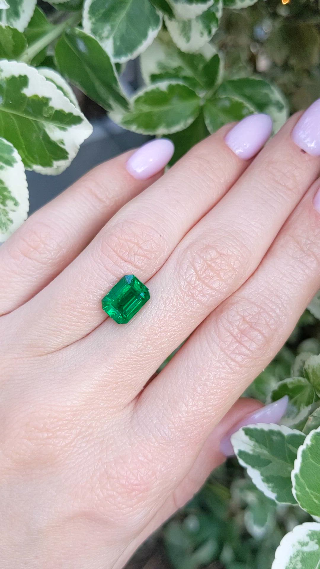 2.49 Ct. Emerald from Zambia Size Video