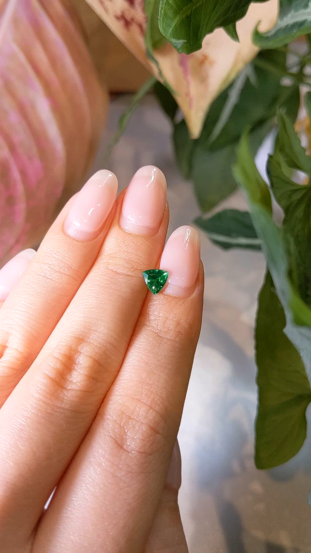 0.55 Ct. Emerald from Brazil Size Video