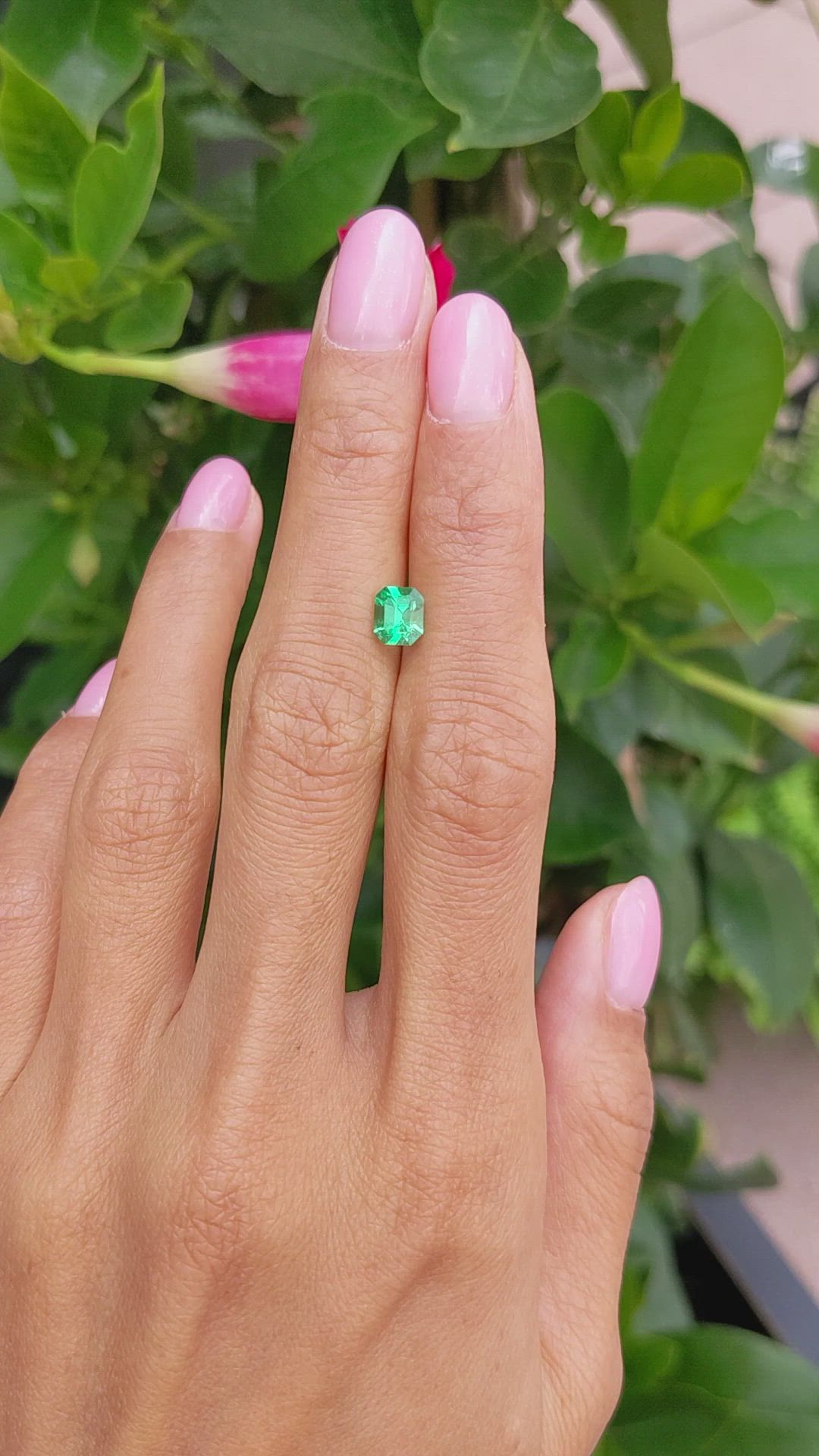 0.83 Ct. Emerald from Russia Size Video