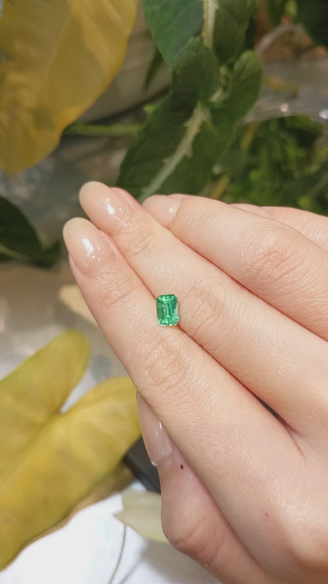 0.98 Ct. Emerald from Russia Size Video