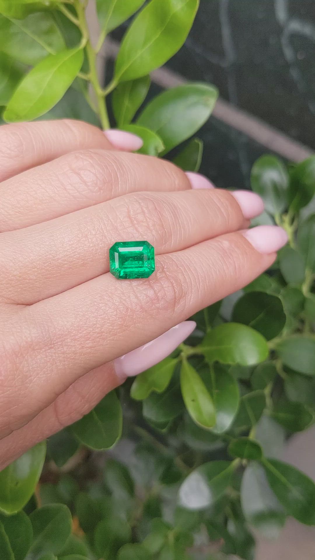 3.52 Ct. Emerald from Zambia Size Video