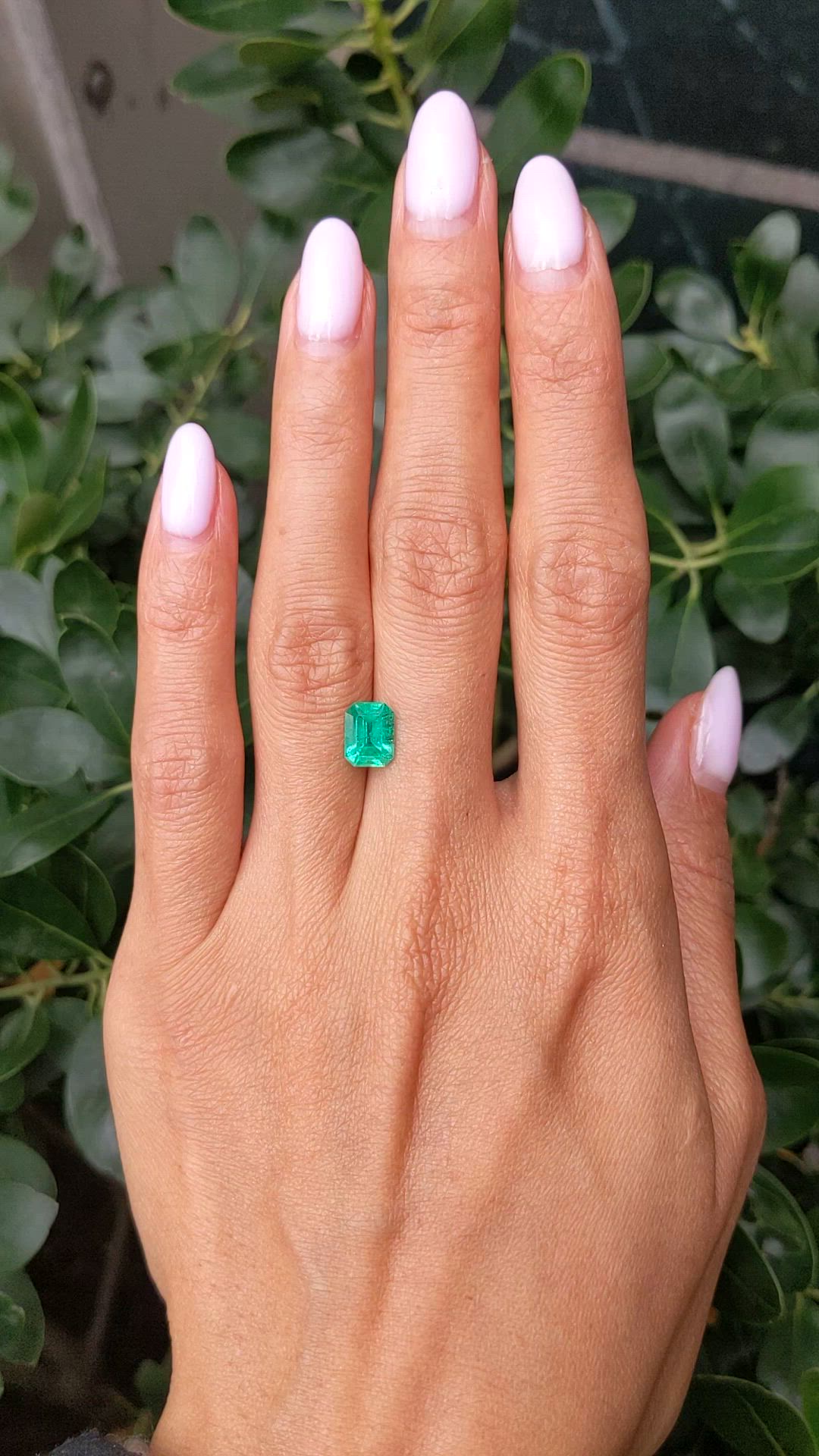 1.55 Ct. Emerald from Ethiopia Size Video