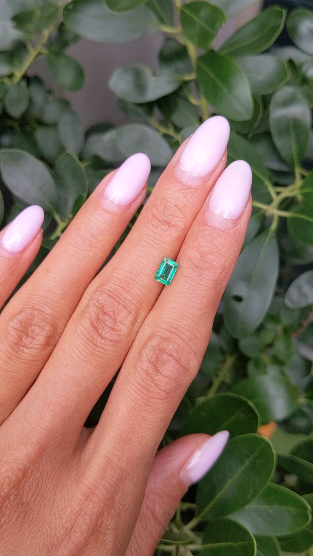 0.63 Ct. Emerald from Zambia Size Video